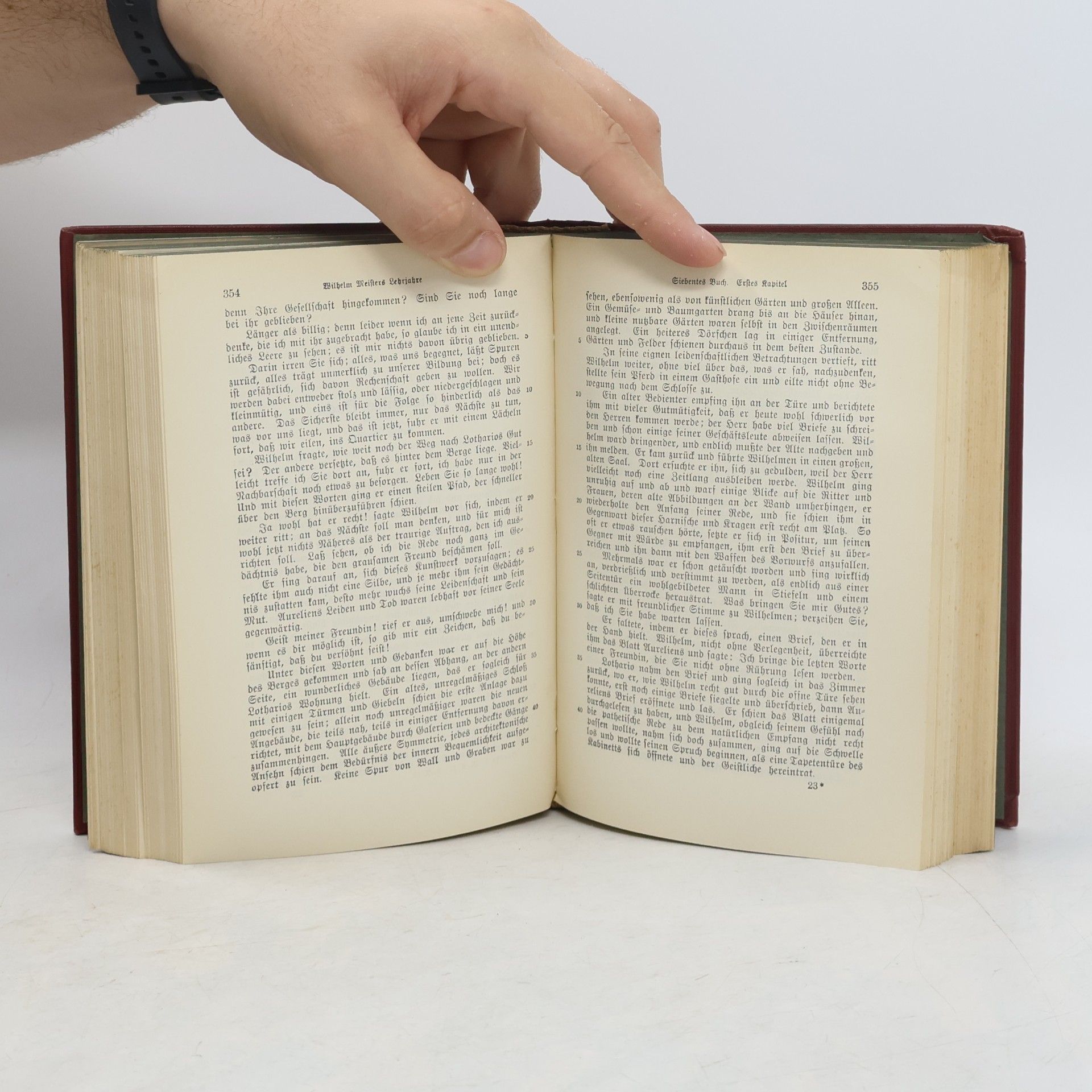 Johann Wolfgang von Goethe Goethes Werke 17-19