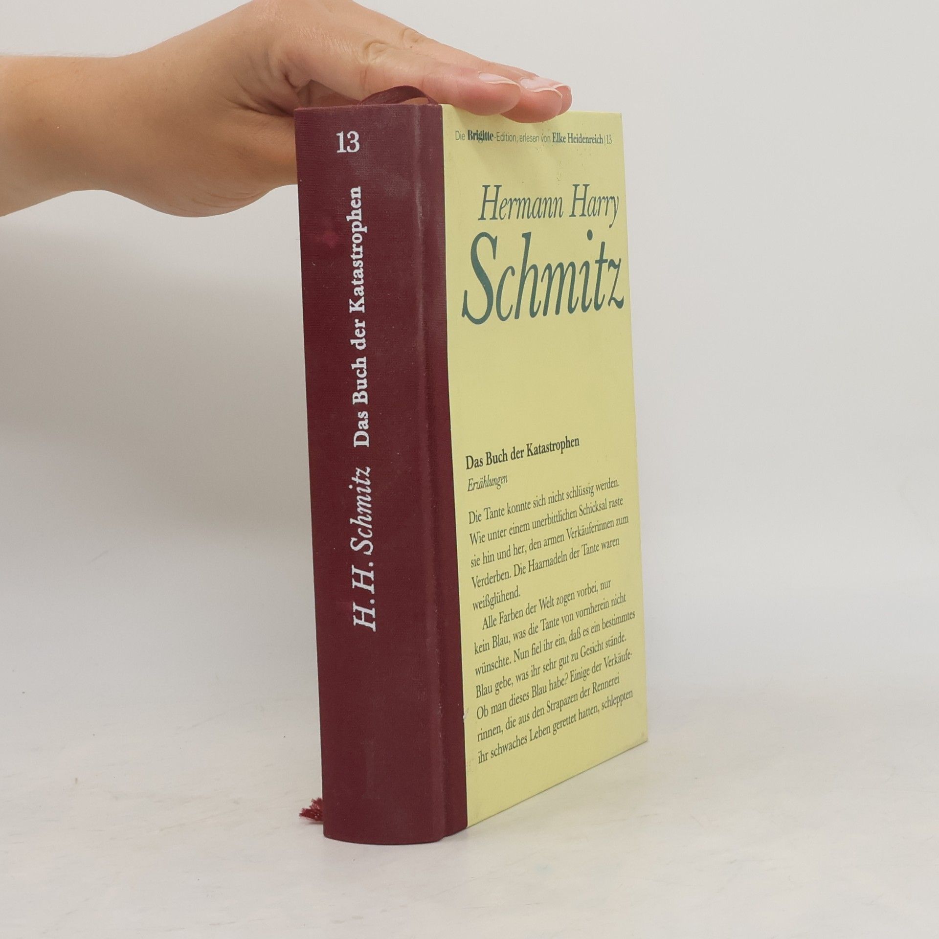 Hermann Harry Schmitz Das Buch der Katastrophen