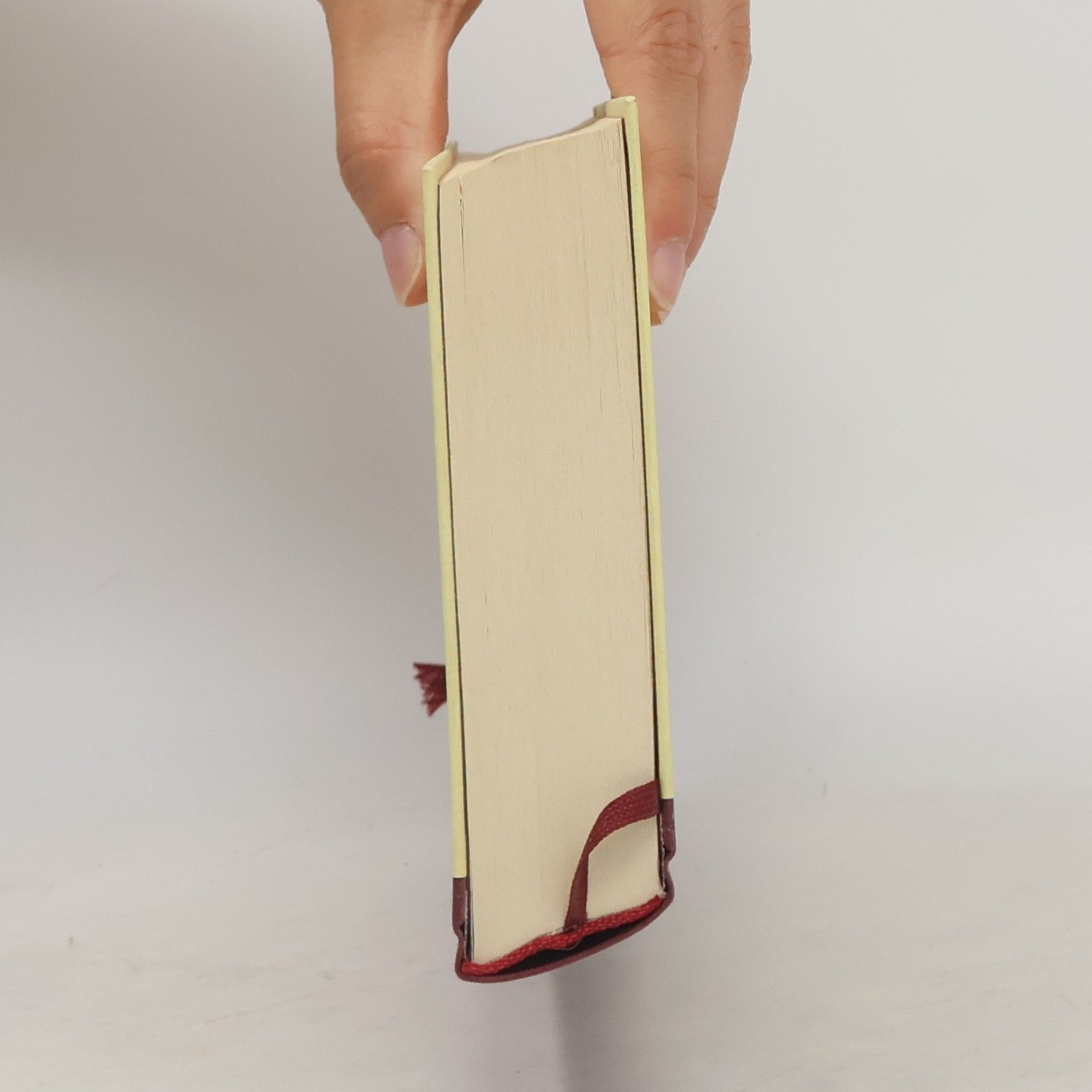 Hermann Harry Schmitz Das Buch der Katastrophen