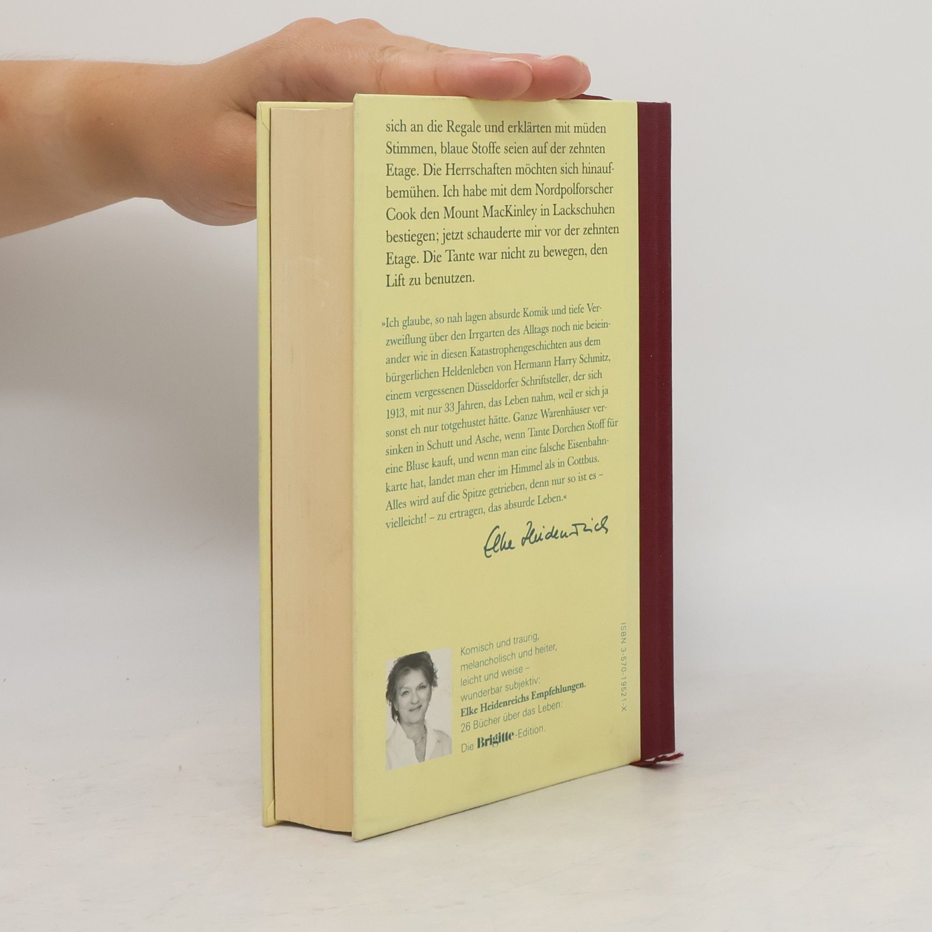 Hermann Harry Schmitz Das Buch der Katastrophen