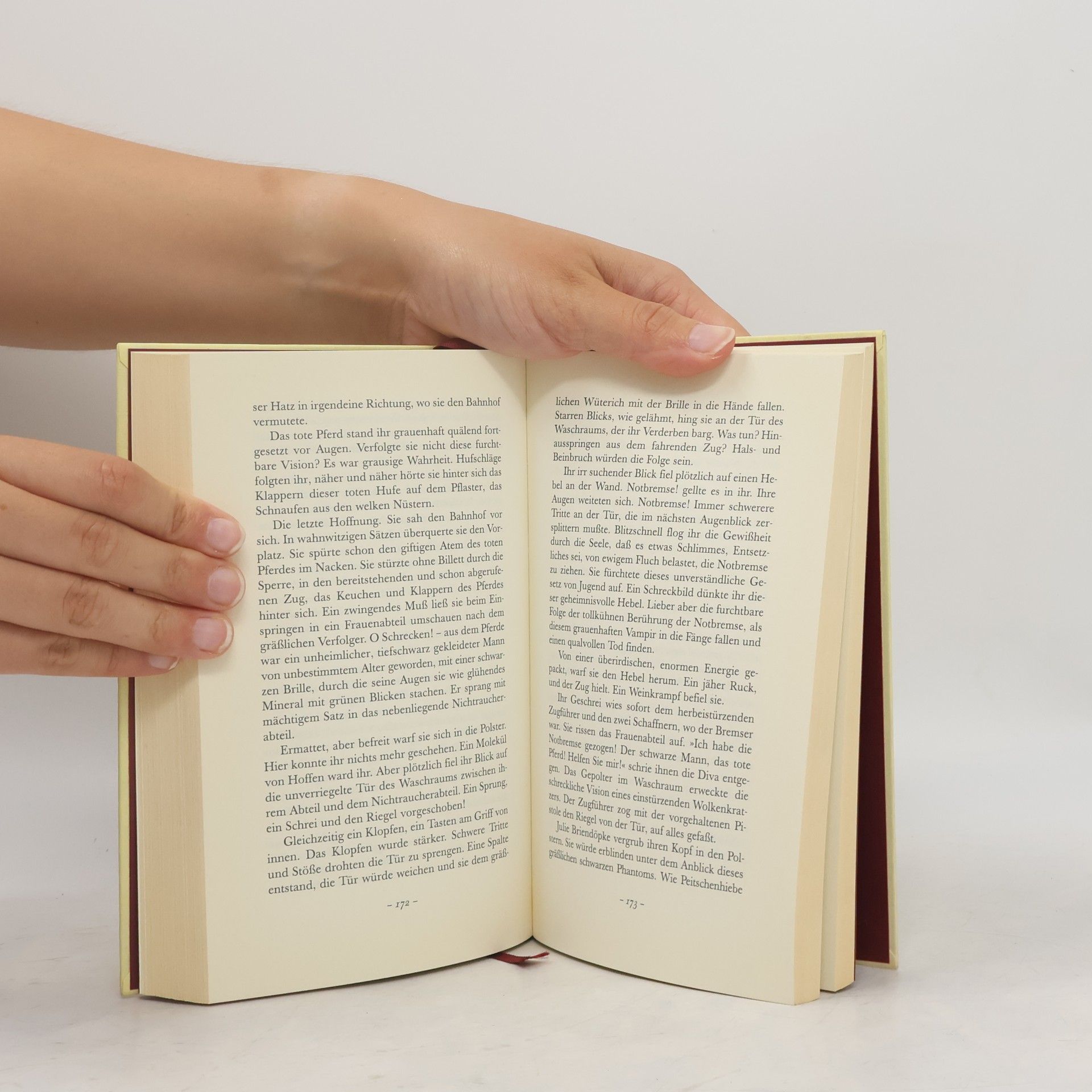 Hermann Harry Schmitz Das Buch der Katastrophen