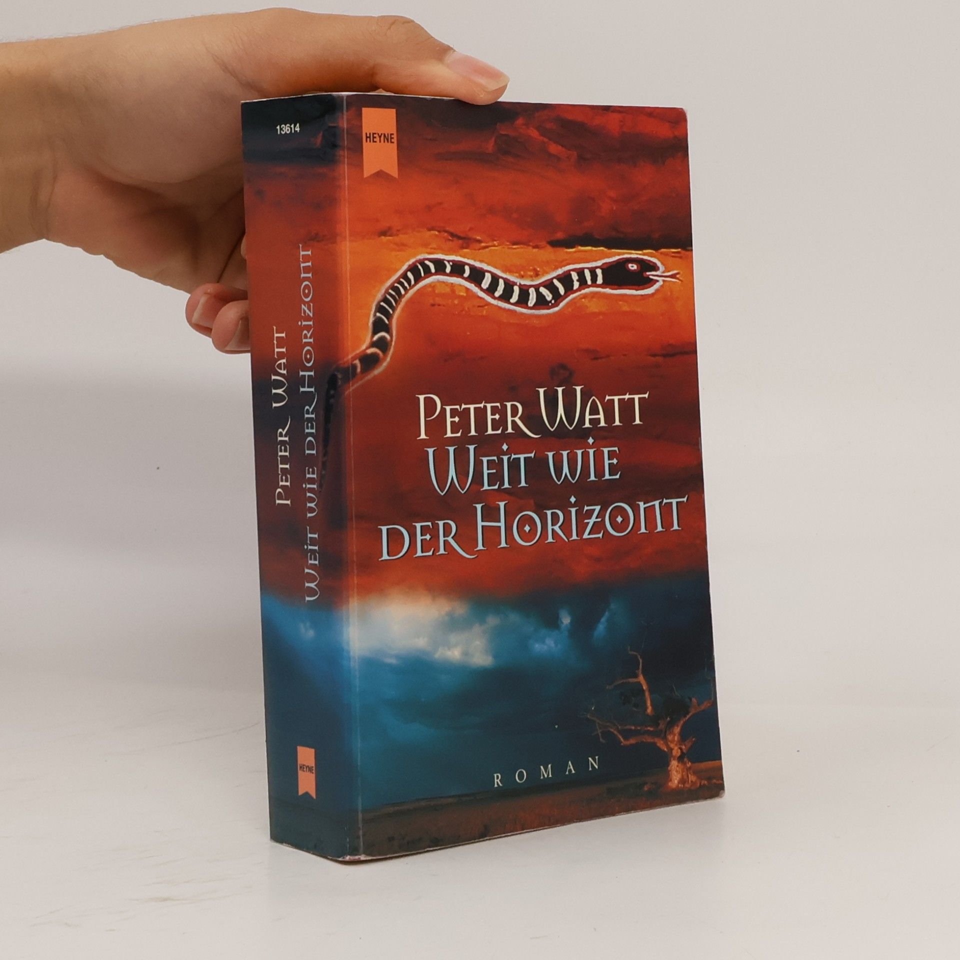 Peter Watt Weit wie der Horizont