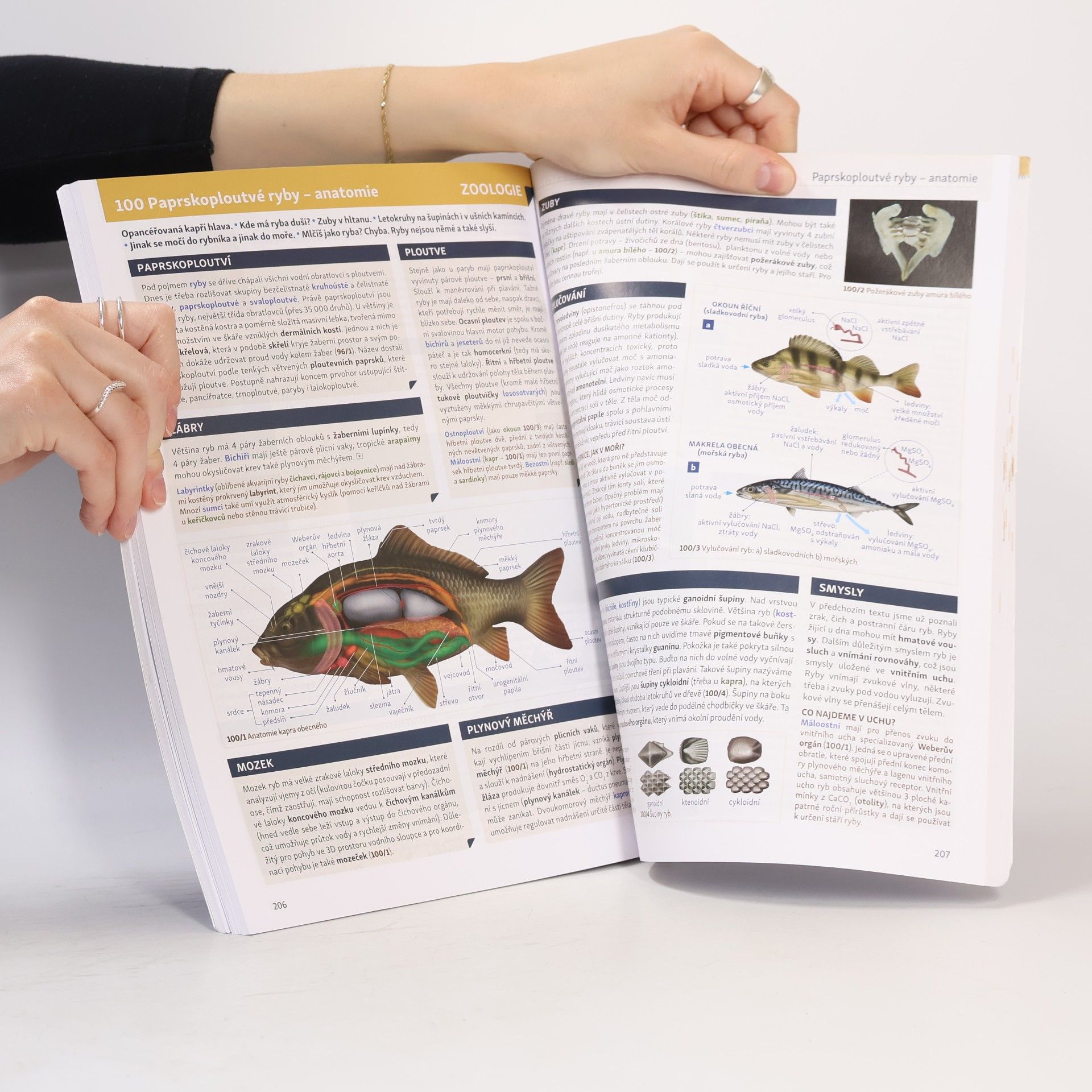 Eduko Biologie v souvislostech 1