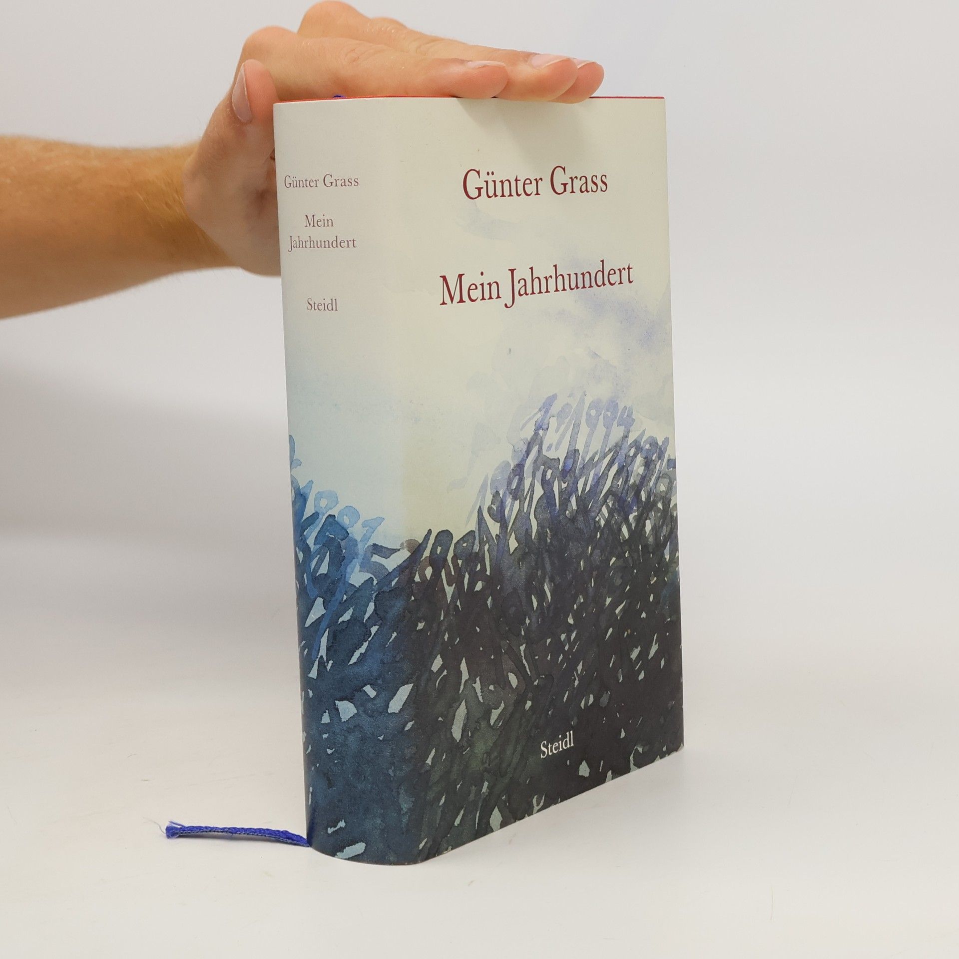 Günter Grass Mein Jahrhundert