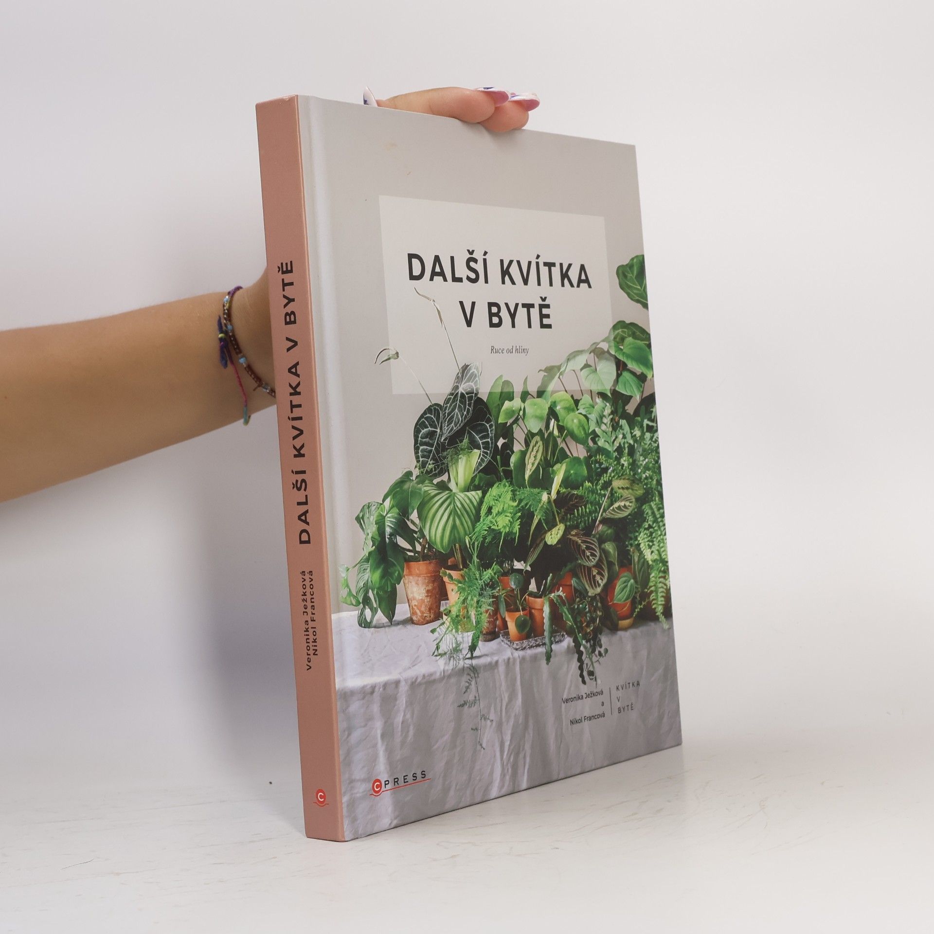 Nikol Francová Další kvítka v bytě : Ruce od hlíny