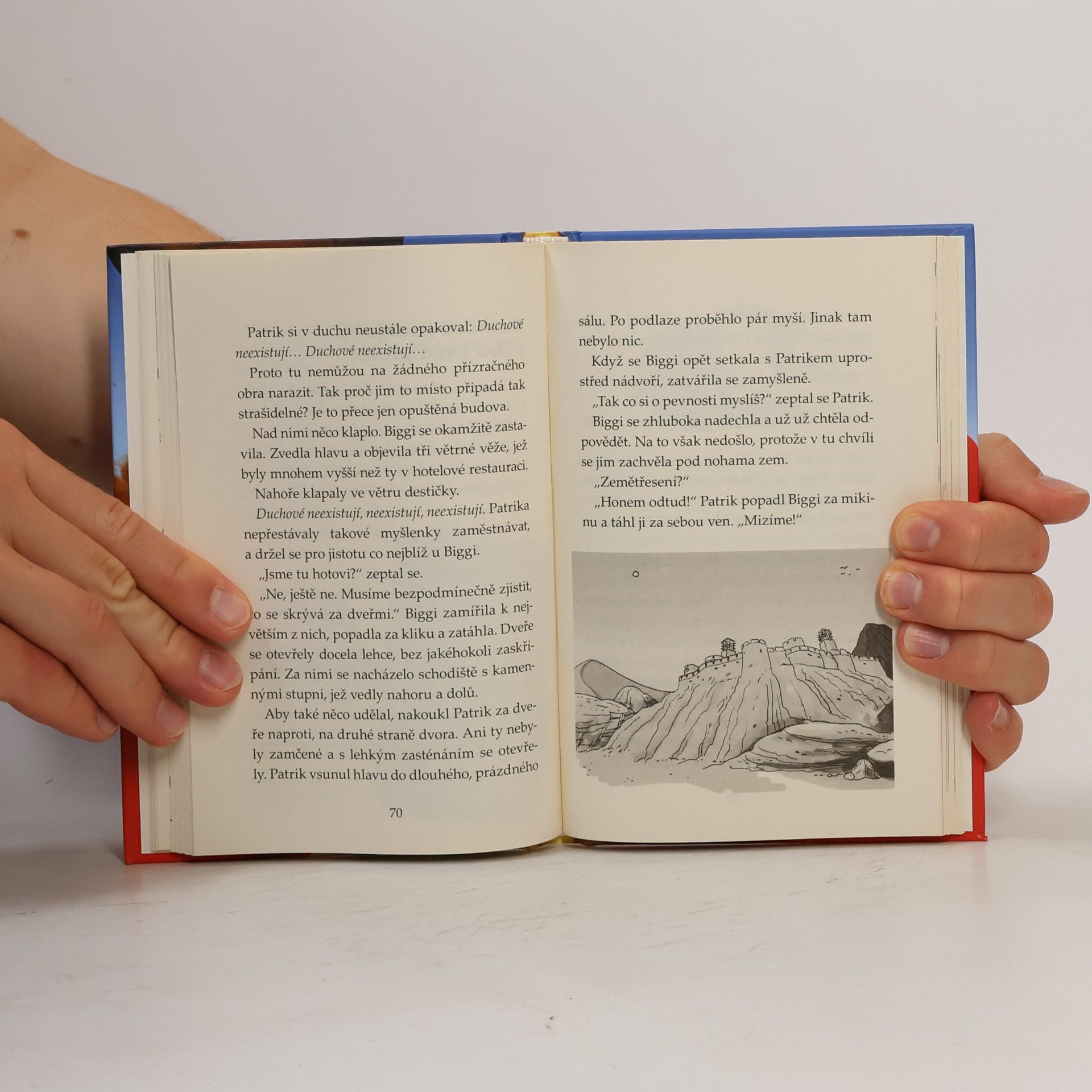 Thomas Brezina Přízrak černého obra