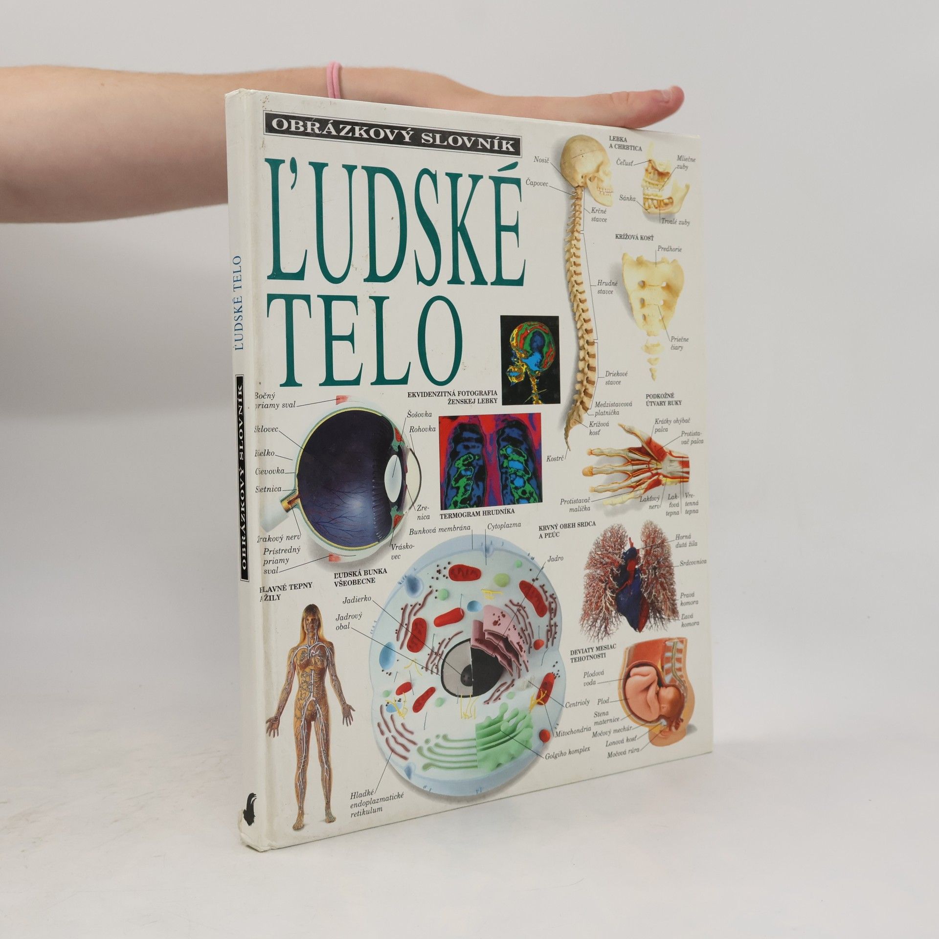 Autores varios ľudské telo