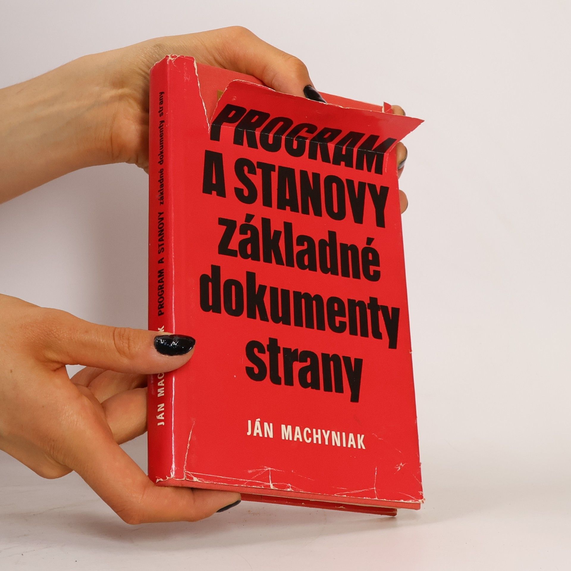 Ján Machyniak Program a stanovy - základné dokumenty strany
