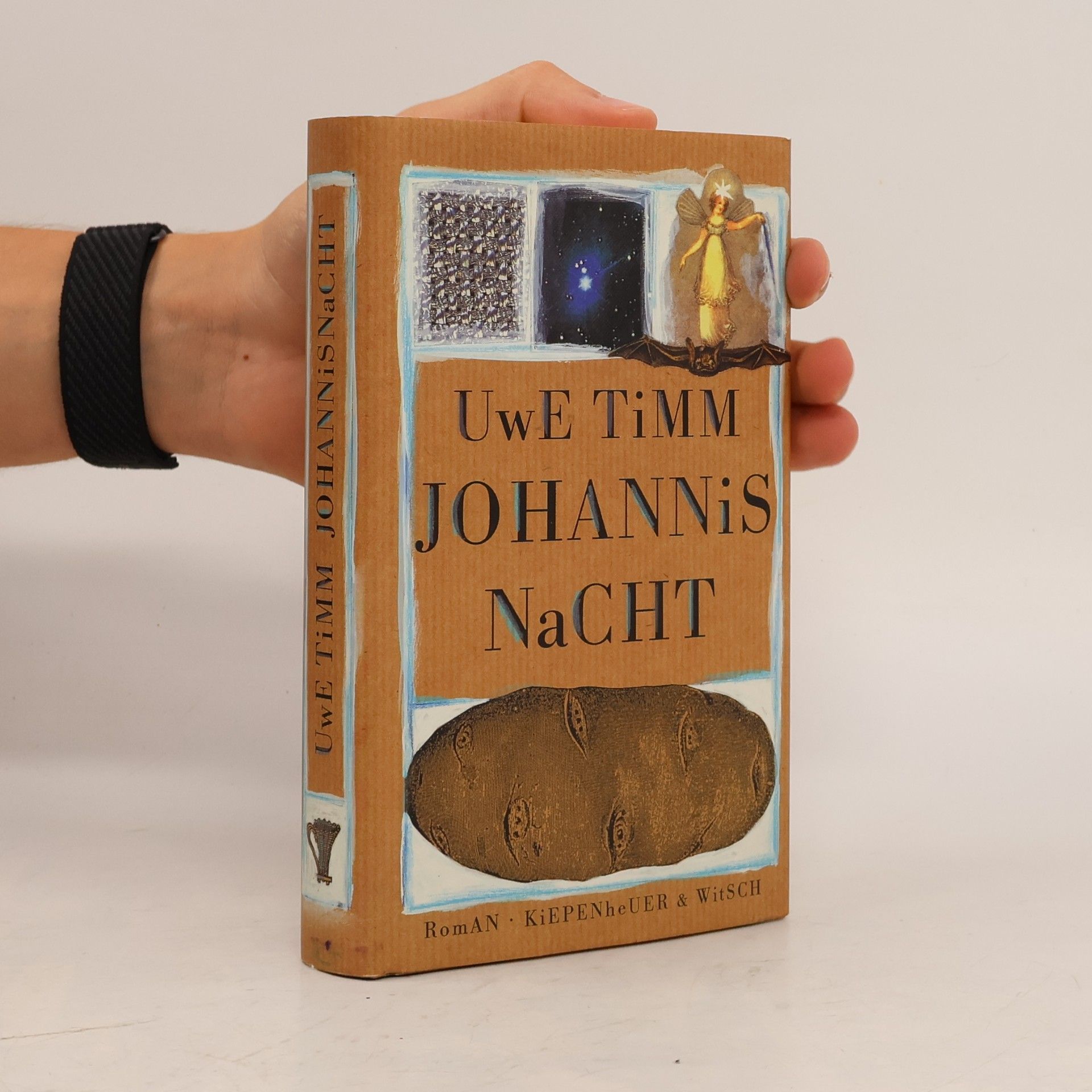 Uwe Timm Johannisnacht