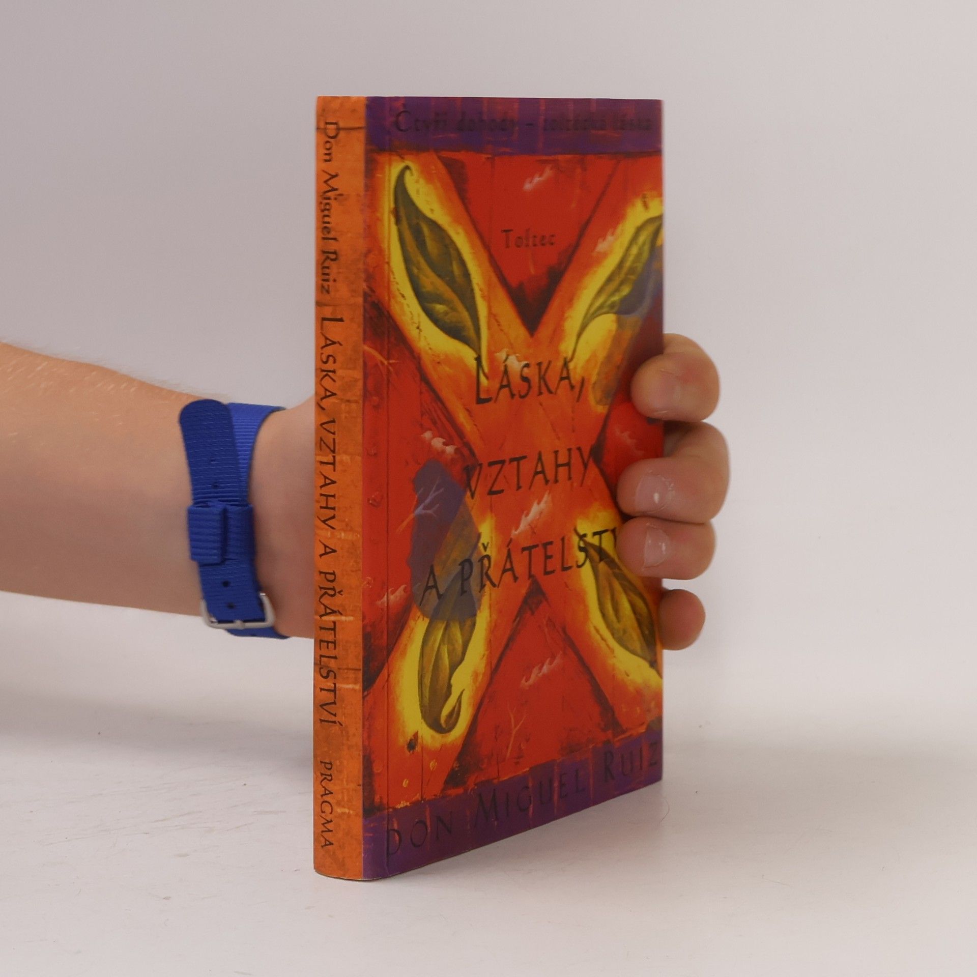 Don Miguel Ruiz Láska, vztahy a přátelství