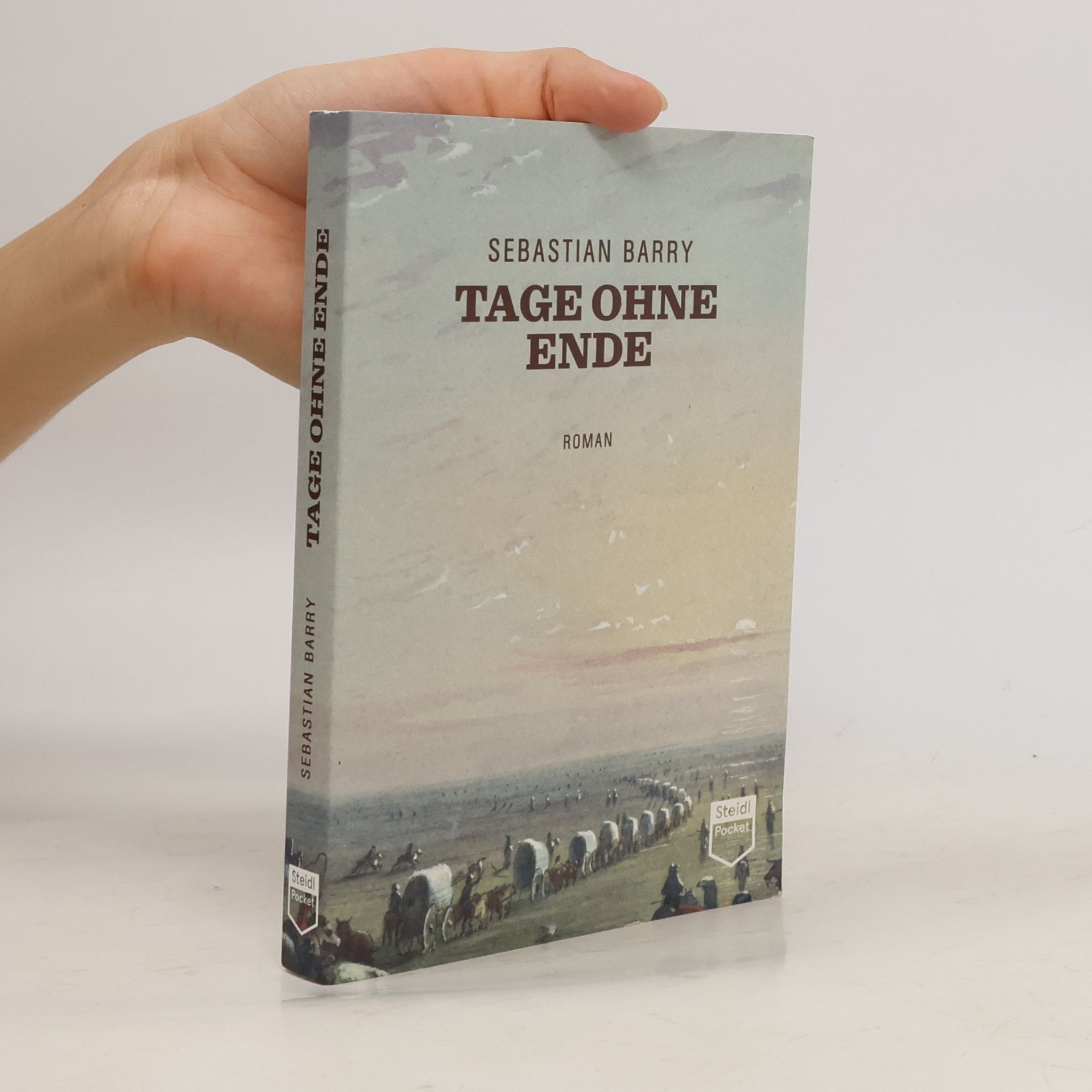 Sebastian Barry Tage ohne Ende