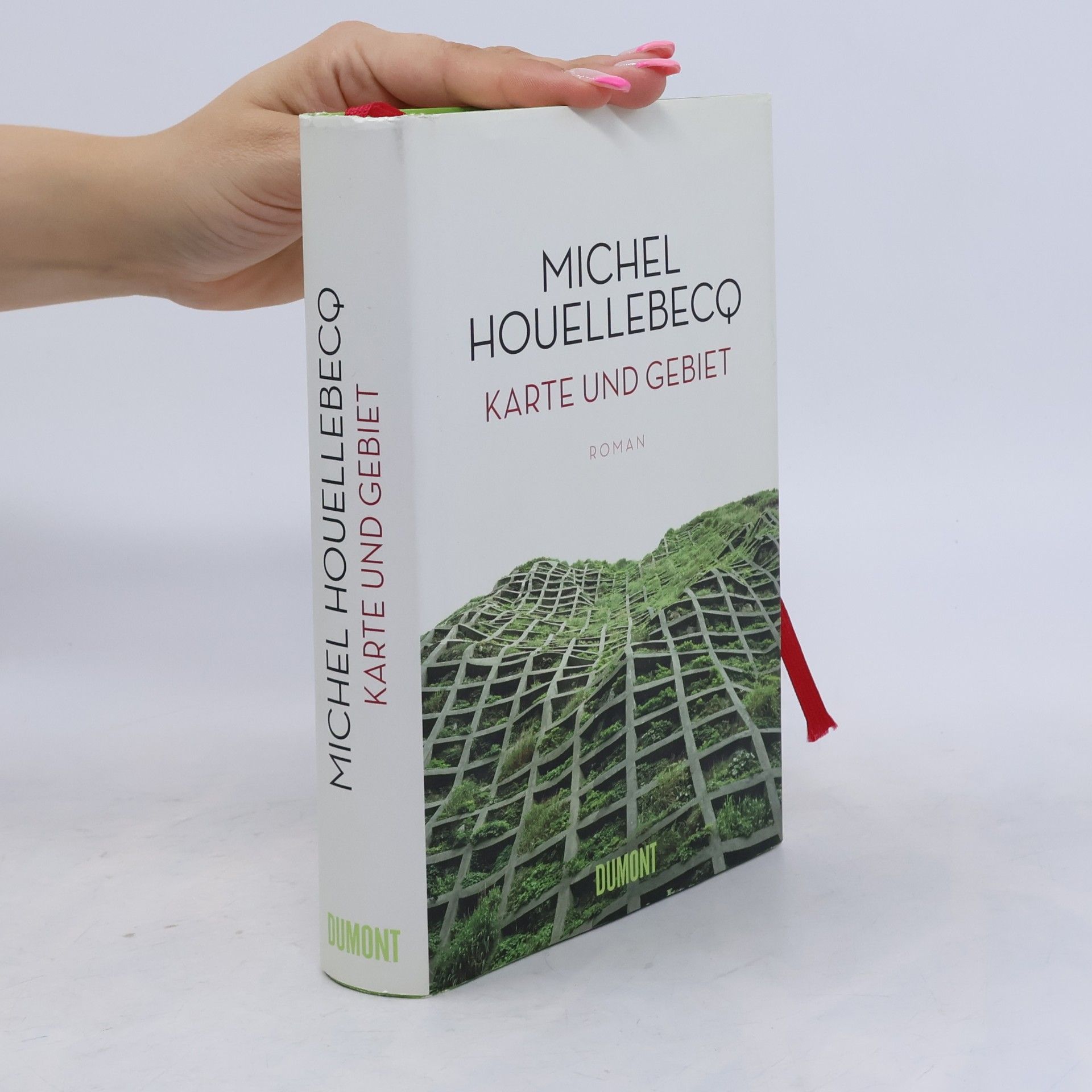 Michel Houellebecq Karte und Gebiet