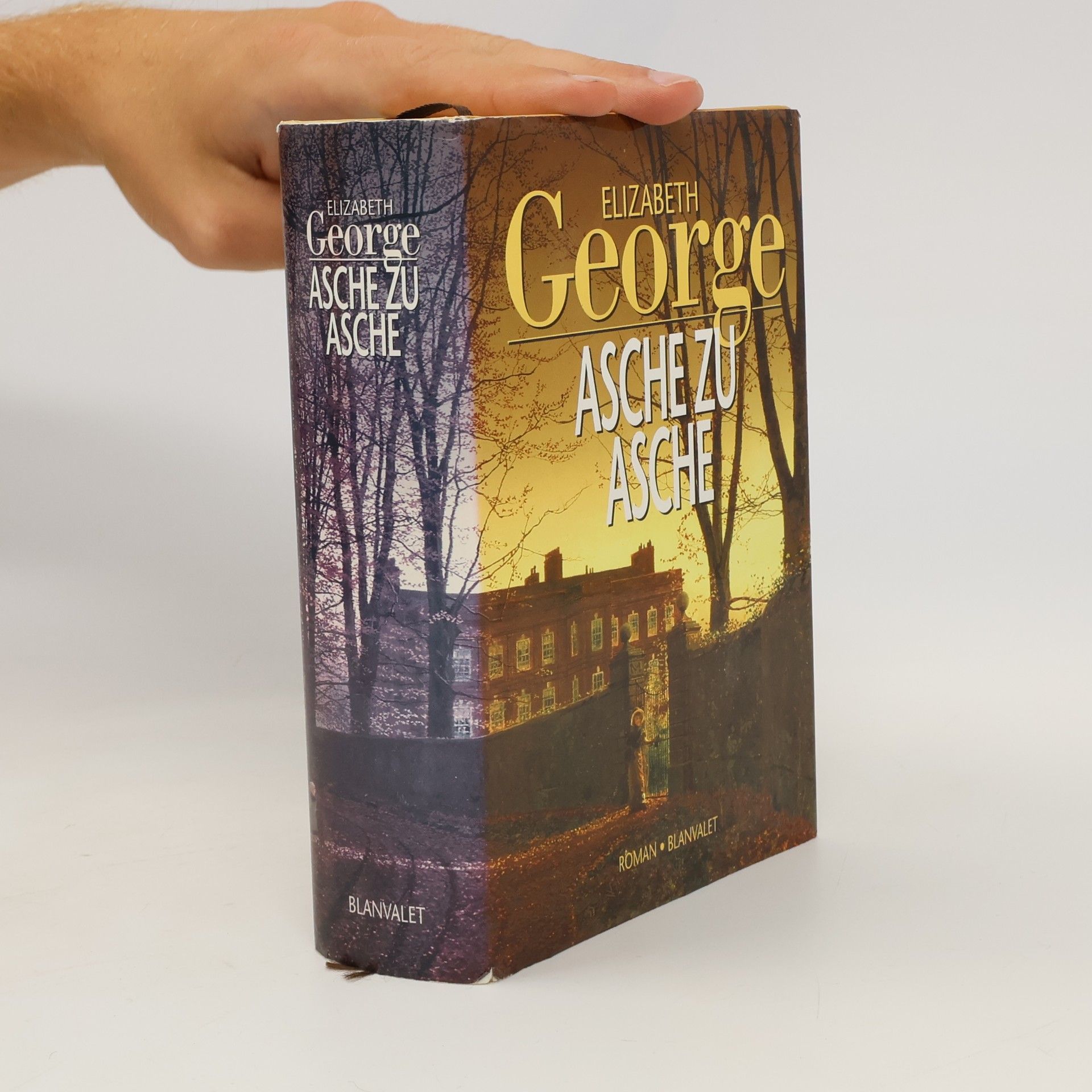 Elizabeth George Asche zu Asche