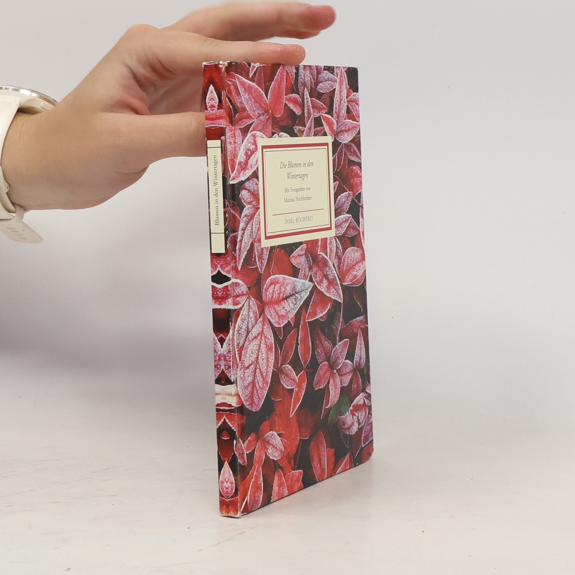 Martina Hochheimer Die Blumen in den Wintertagen