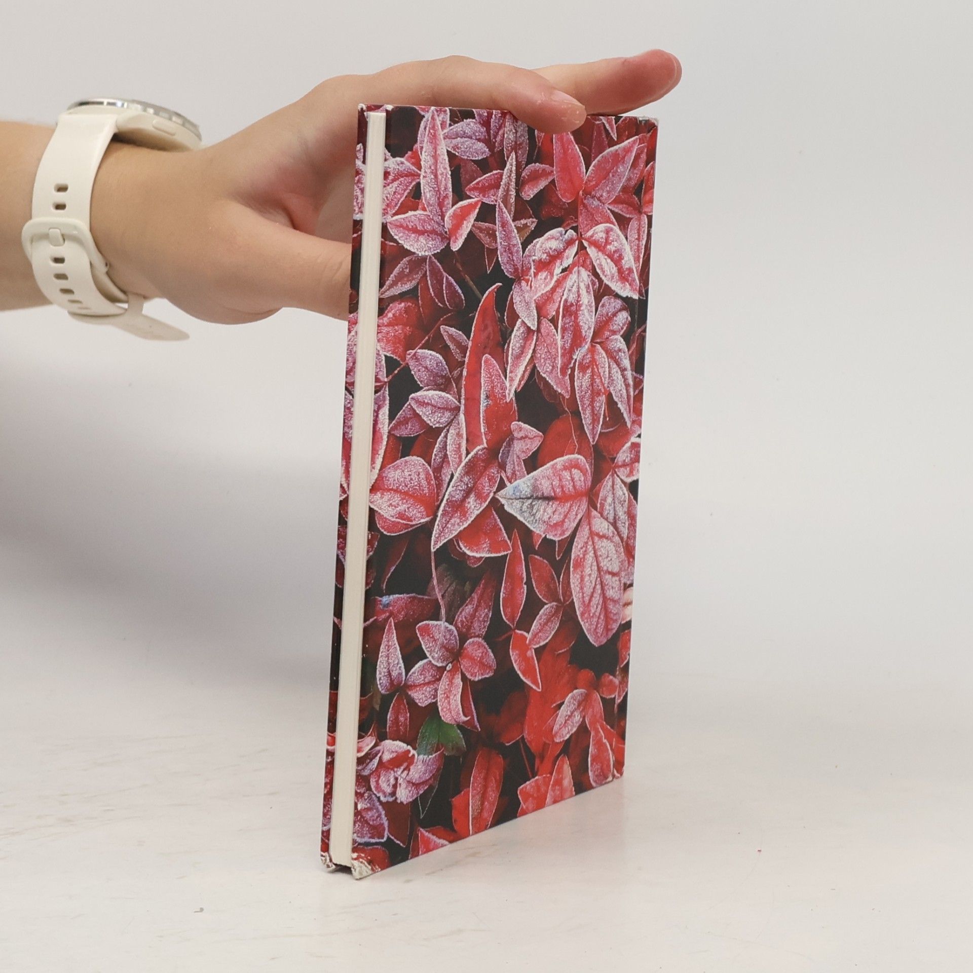 Martina Hochheimer Die Blumen in den Wintertagen