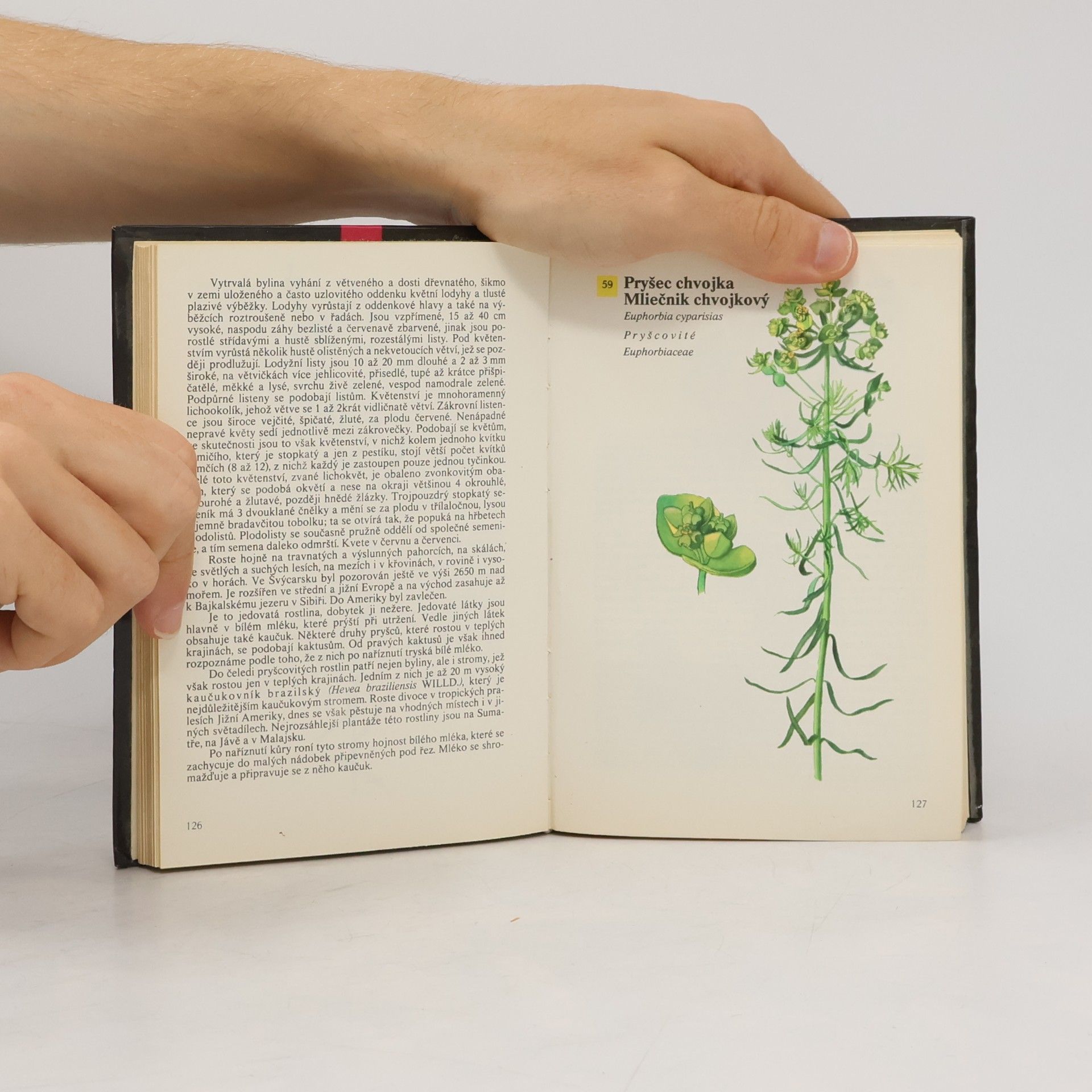 Otto Ušák Kapesní atlas rostlin