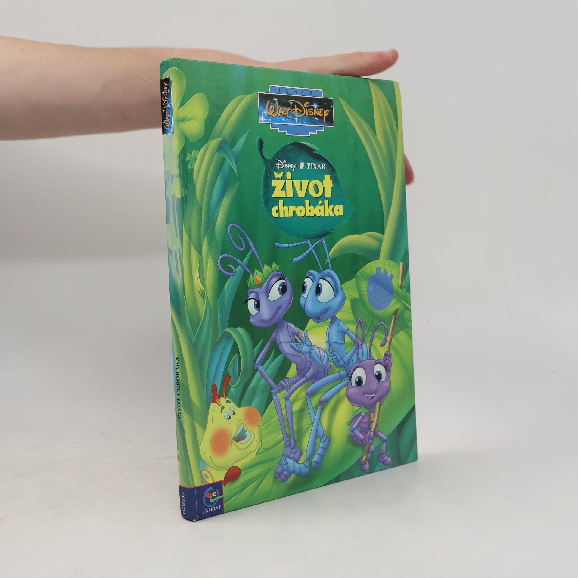 Kolektiv autorů Život chrobáka