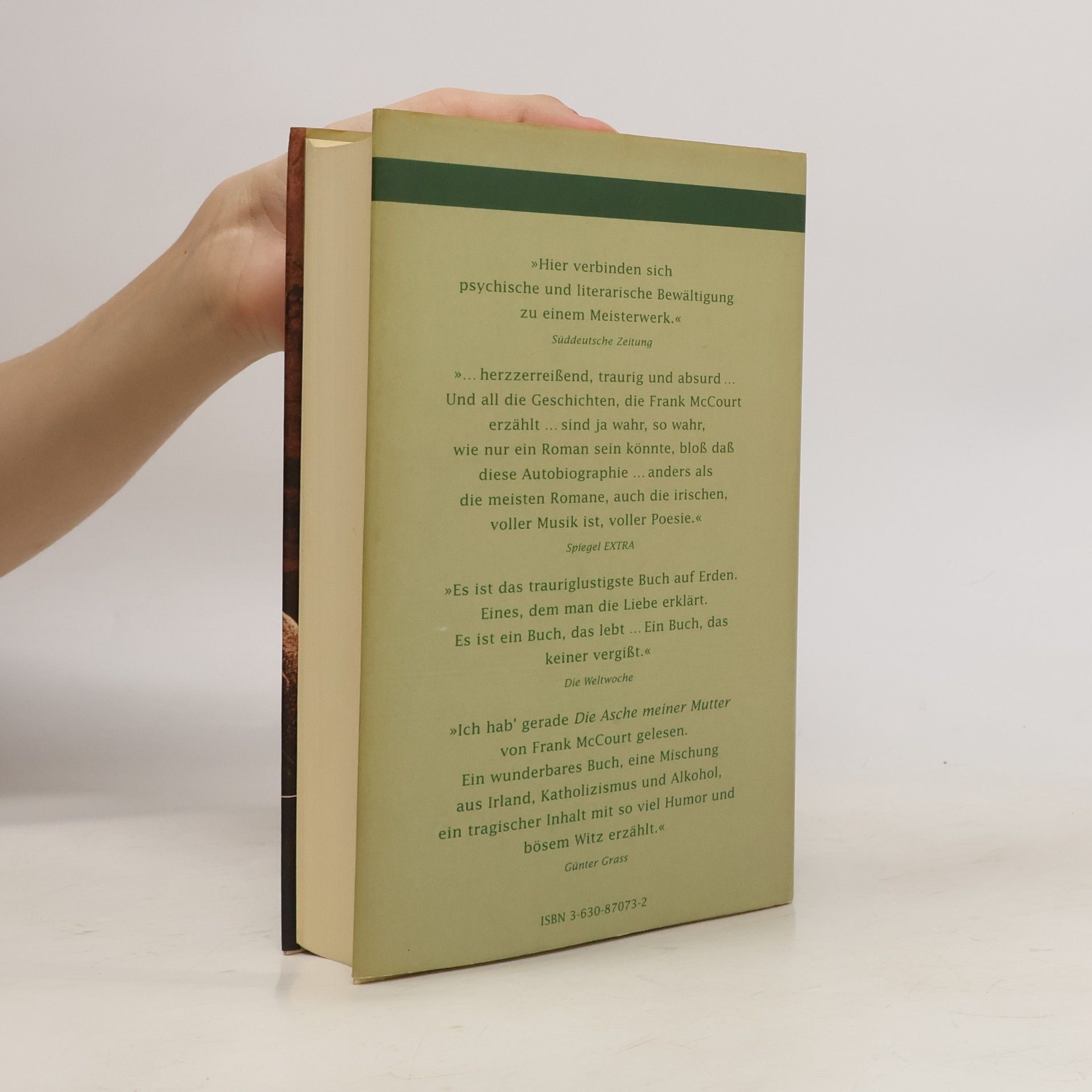 Frank McCourt Die Asche meiner Mutter
