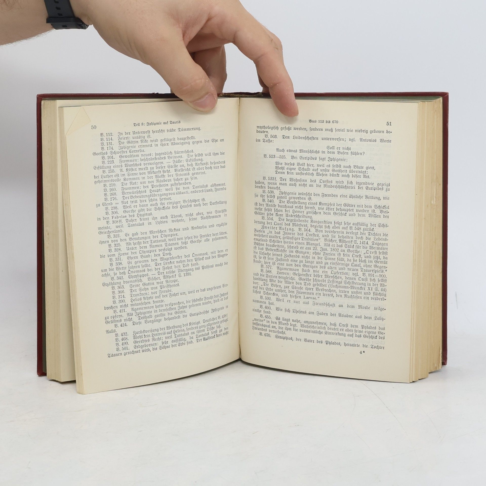 Johann Wolfgang von Goethe Anmerkungen. Teil 1 bis 4