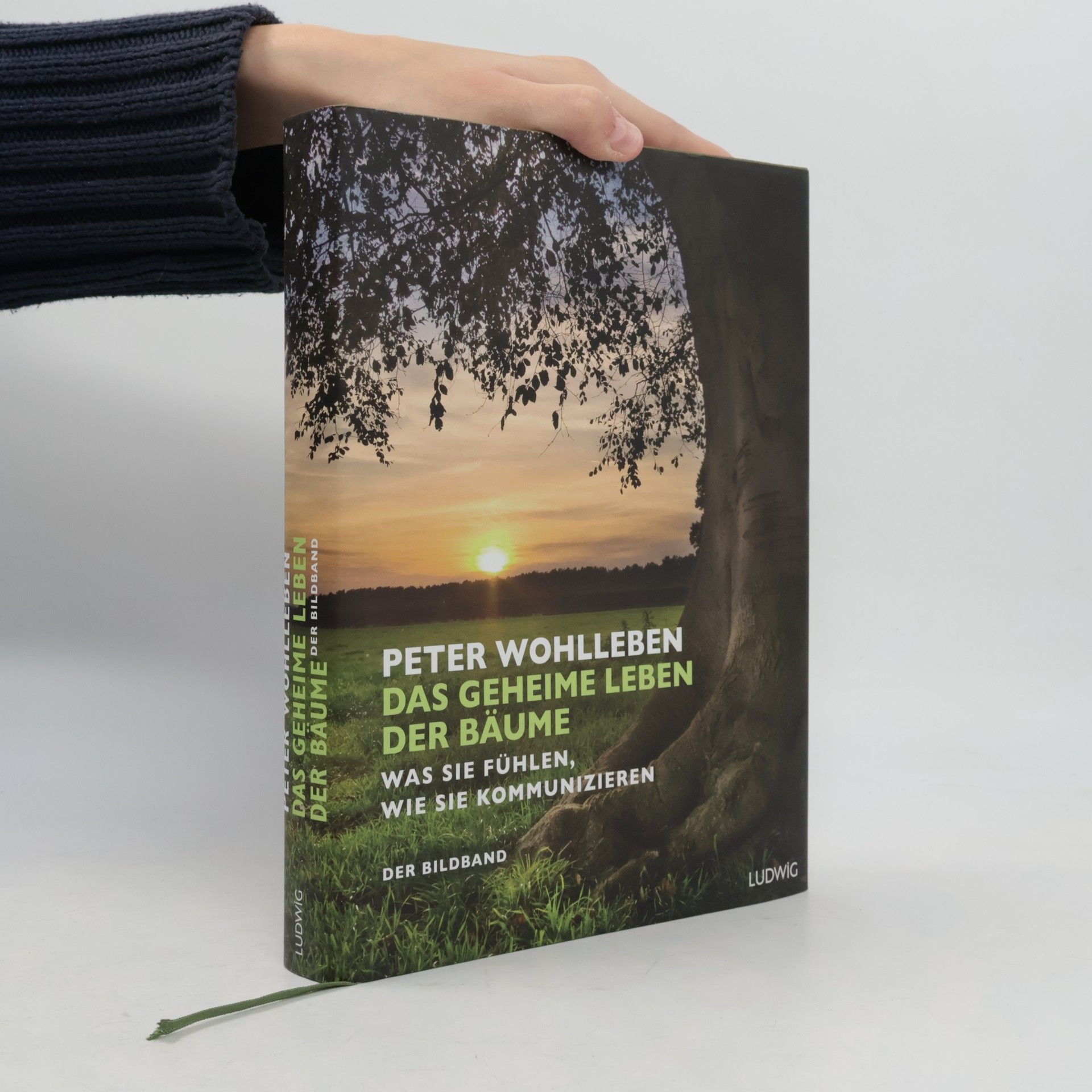 Peter Wohlleben Das geheime Leben der Bäume