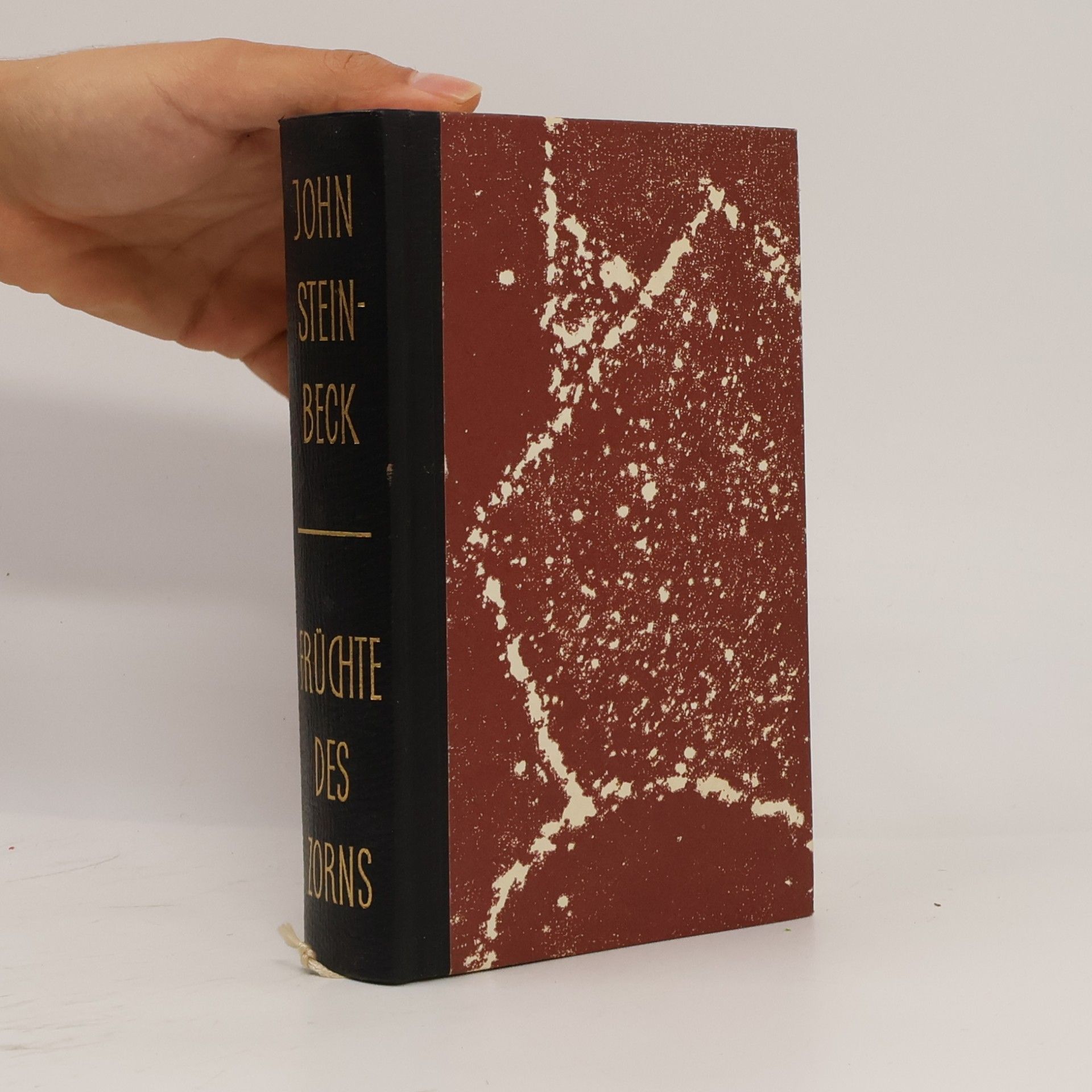 John Steinbeck Früchte des Zorns