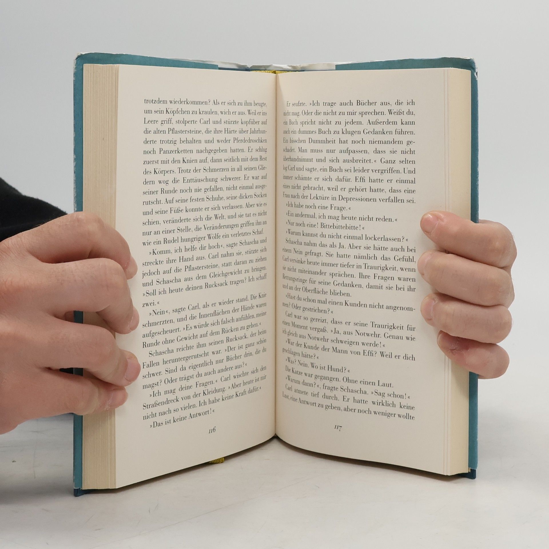 Carsten Sebastian Henn Der Buchspazierer