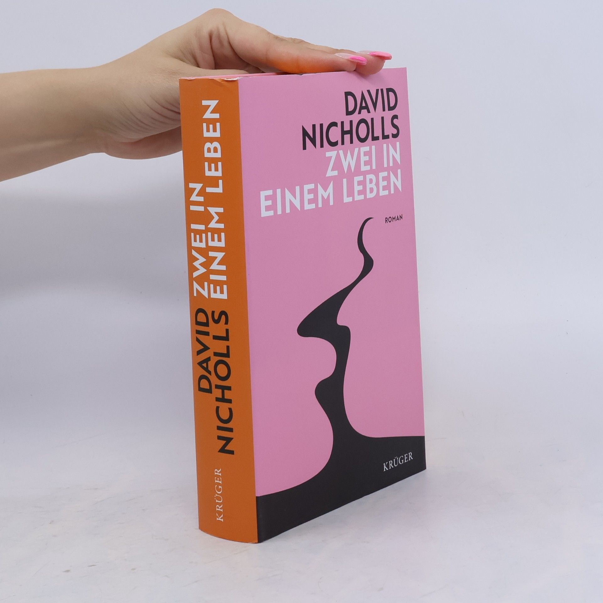 David Nicholls Zwei in einem Leben