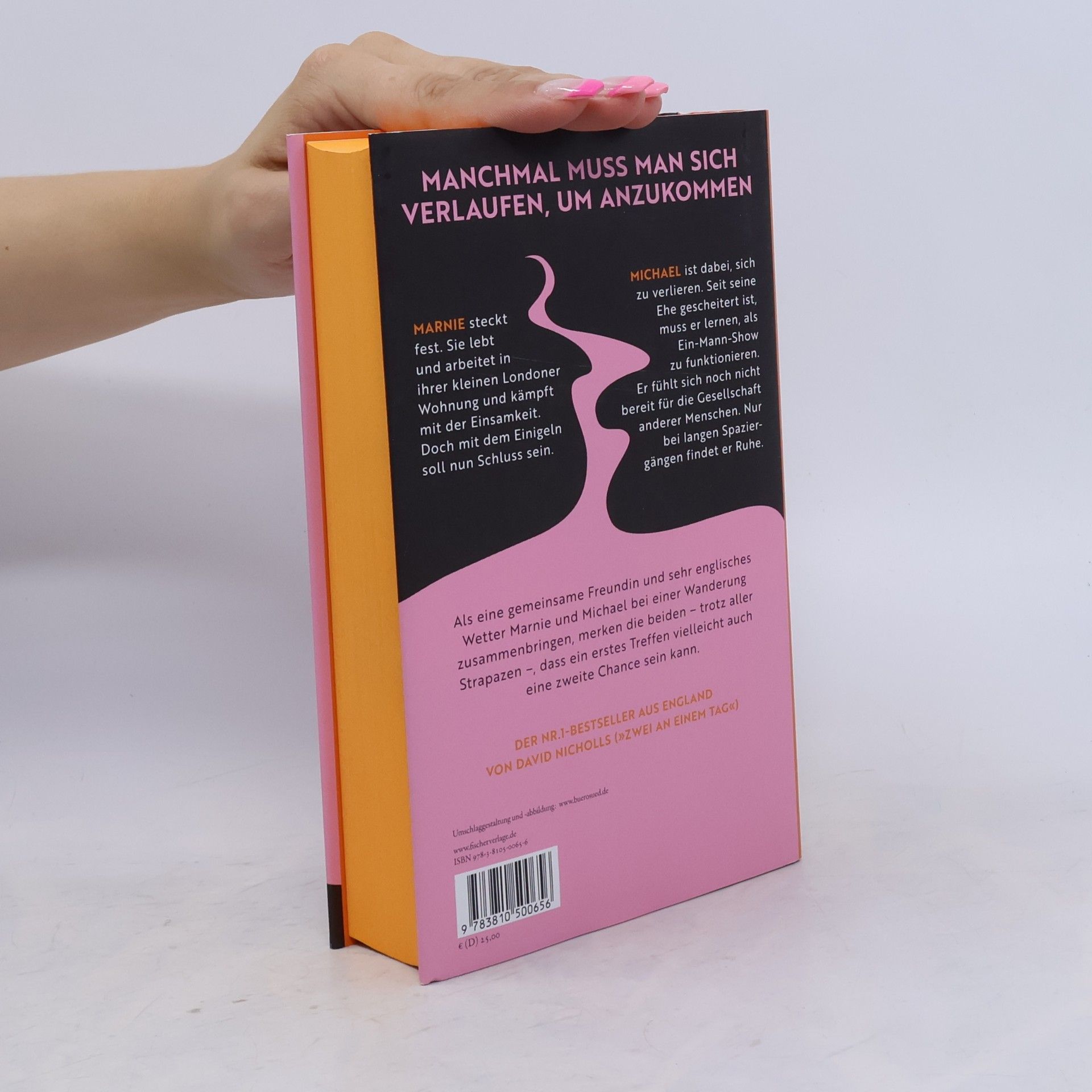 David Nicholls Zwei in einem Leben