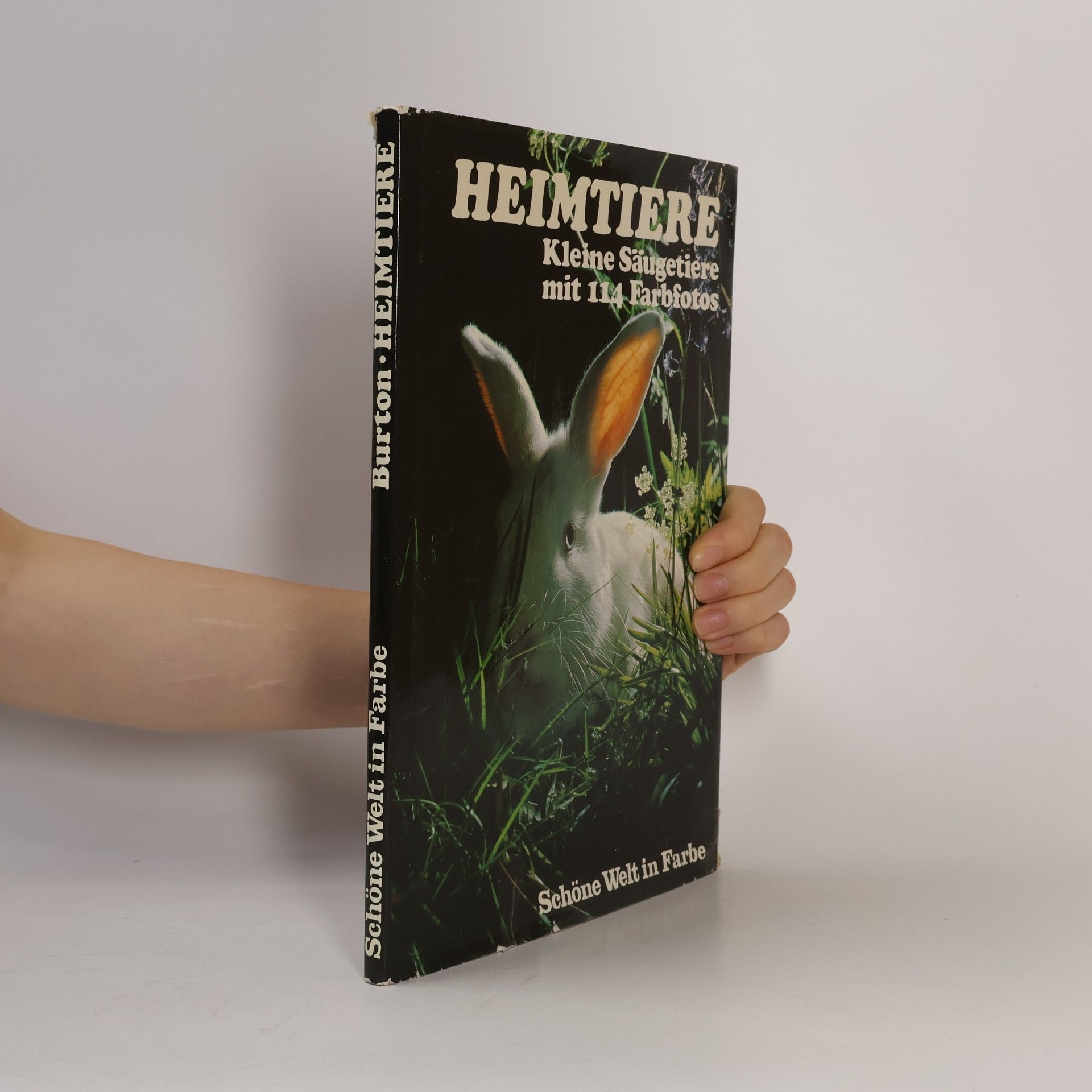 kolektiv Heimtiere