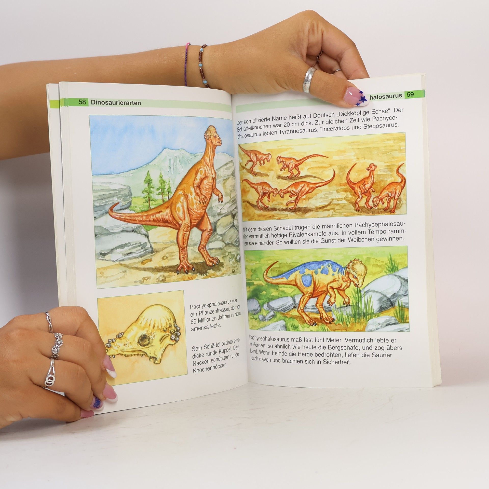 Bärbel Oftring Dinosaurier