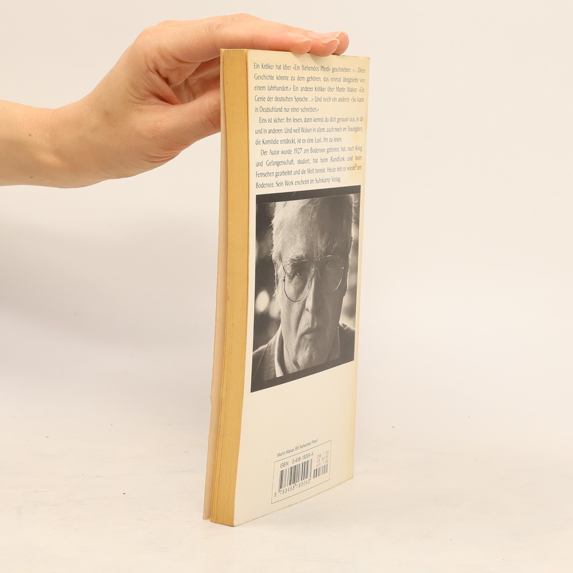 Martin Walser Ein fliehendes Pferd