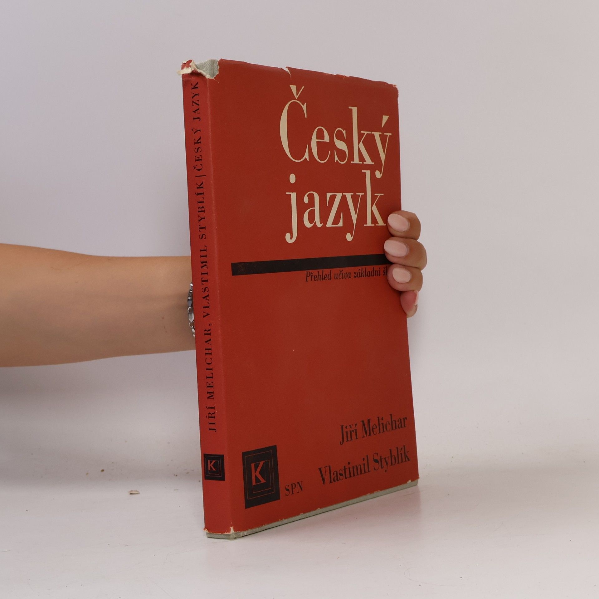 Český jazyk. Rozšířený přehled učiva základní školy s cvičeními a klíčem