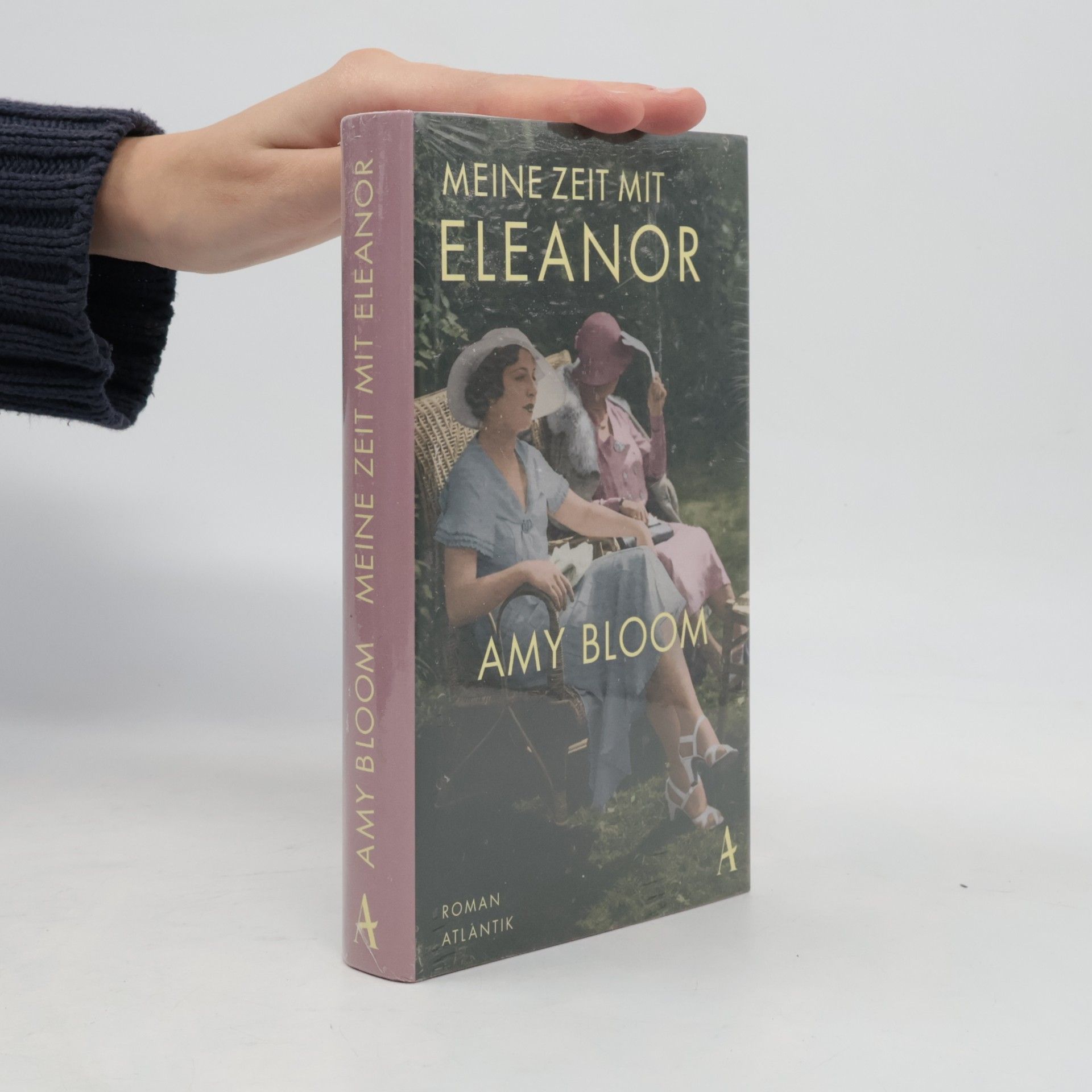 Amy Bloom Meine Zeit mit Eleanor
