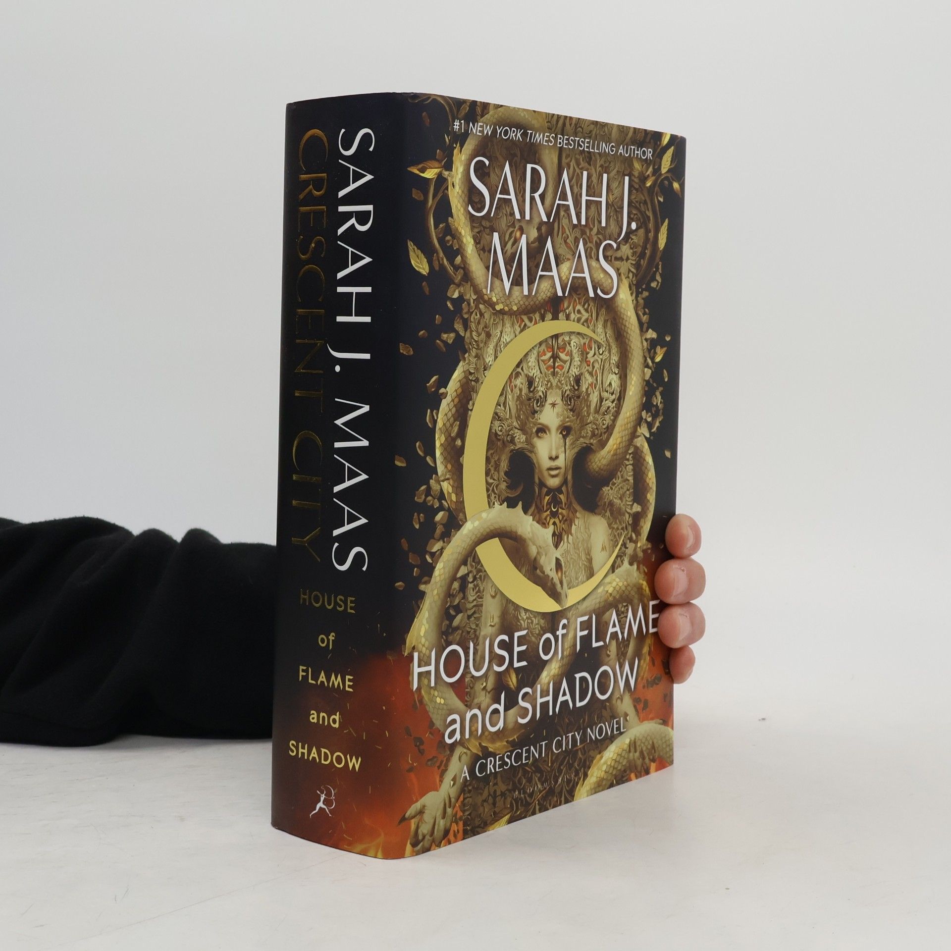 Sarah J. Maas House of Flame and Shadow