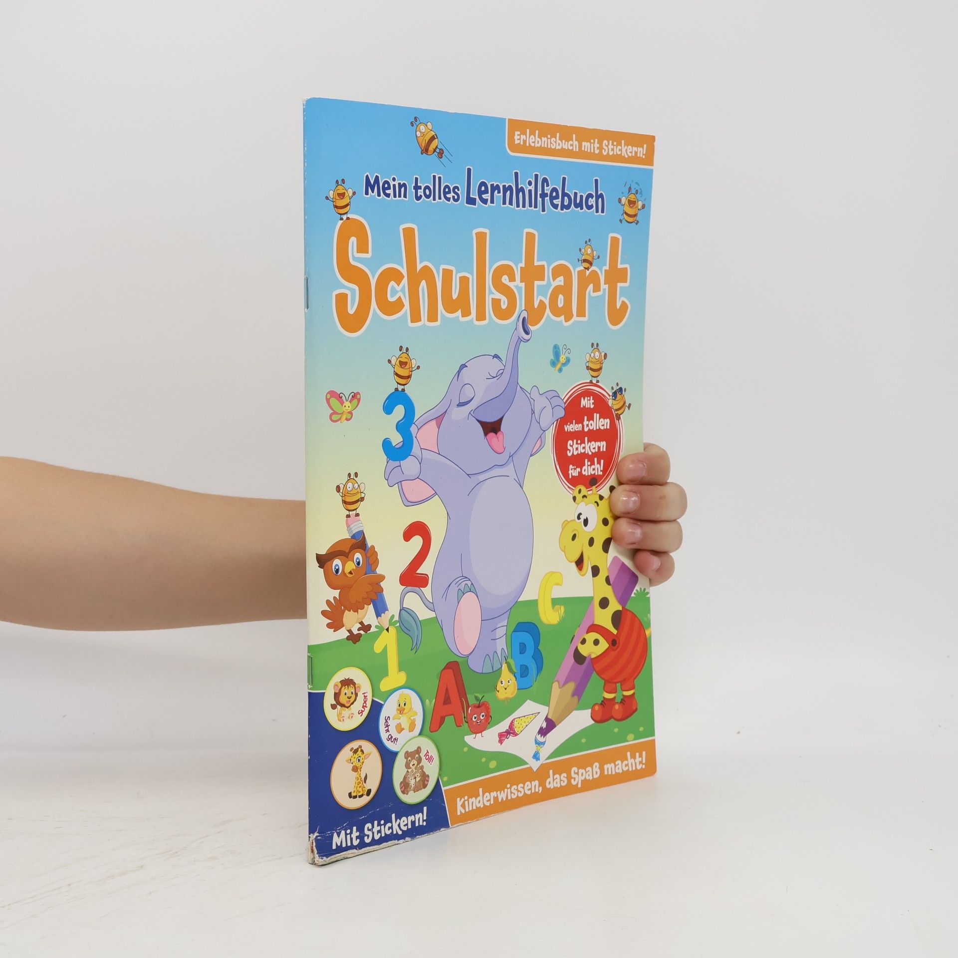 Various authors Mein tolles Lernhilfebuch Schulstart
