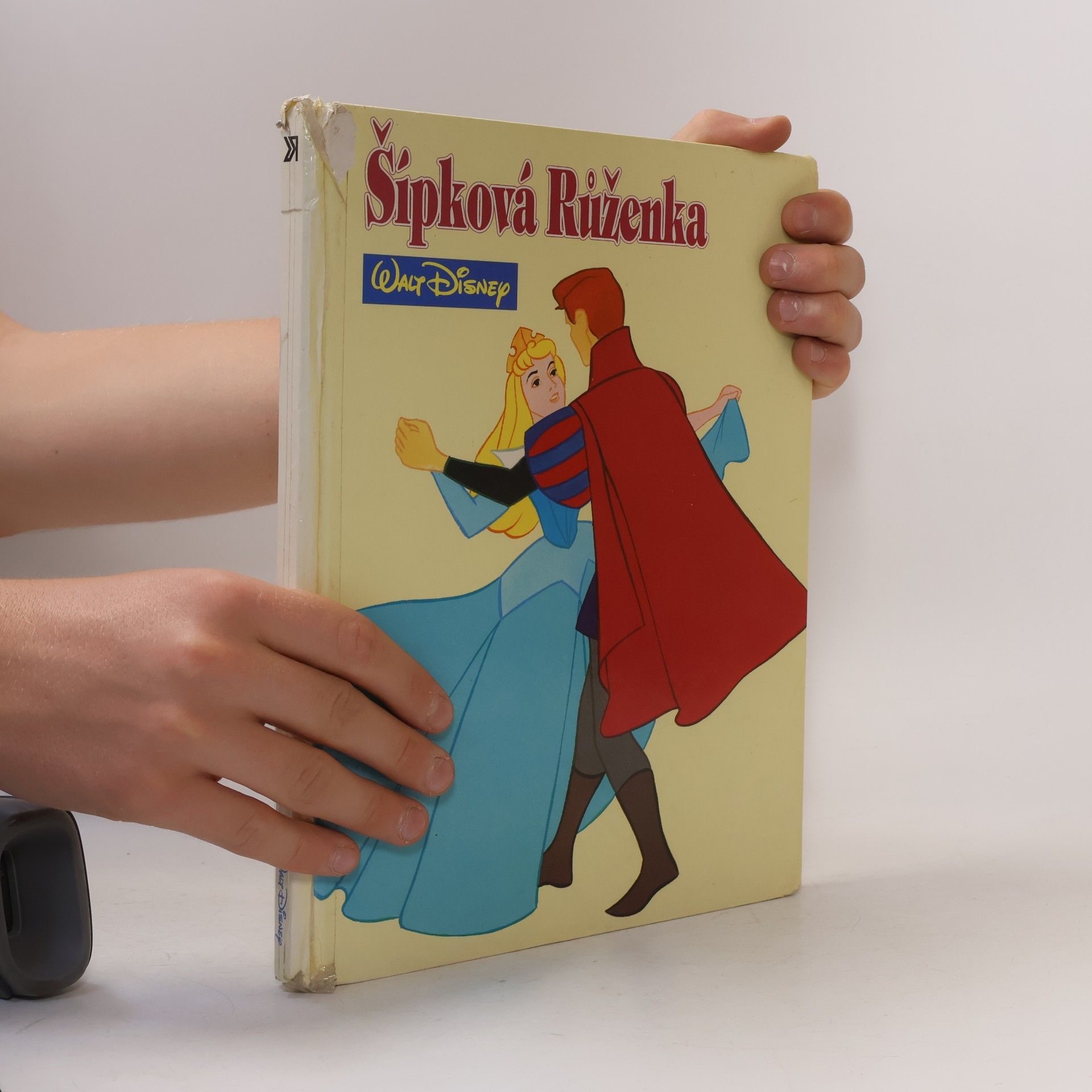 Walt Disney Šípková Růženka