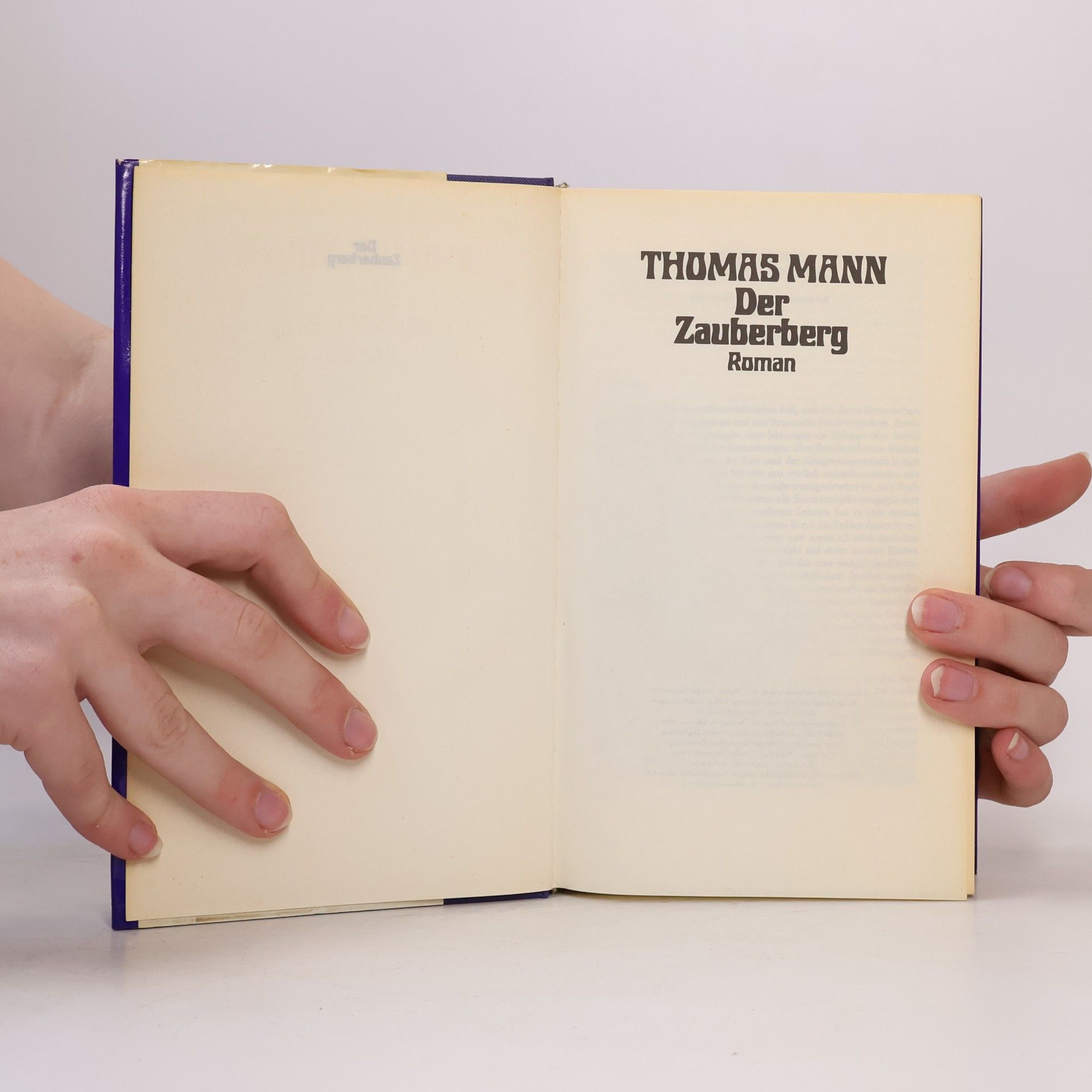 Thomas Mann Der Zauberberg