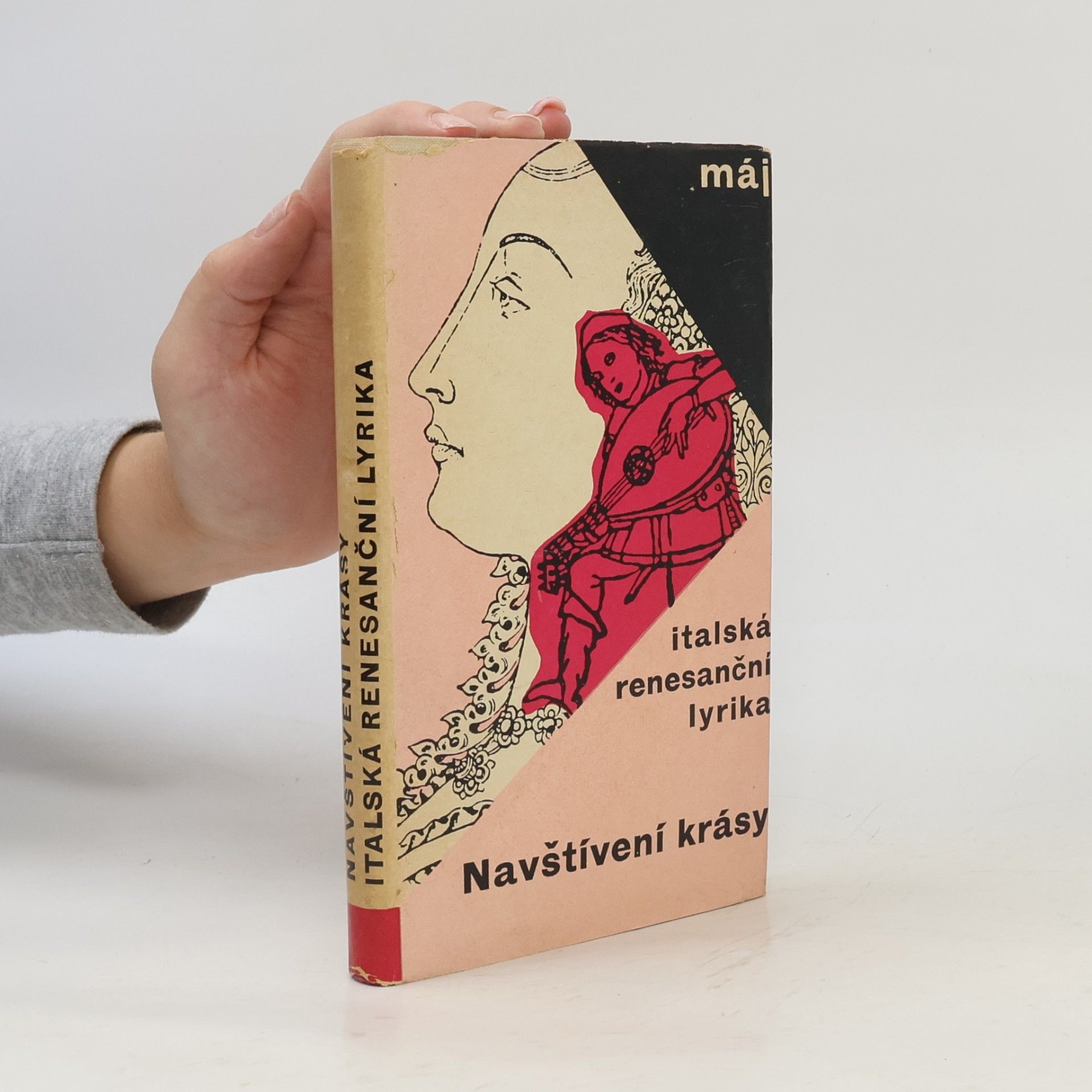 Jan Vladislav Navštívení krásy. Italská renesanční lyrika
