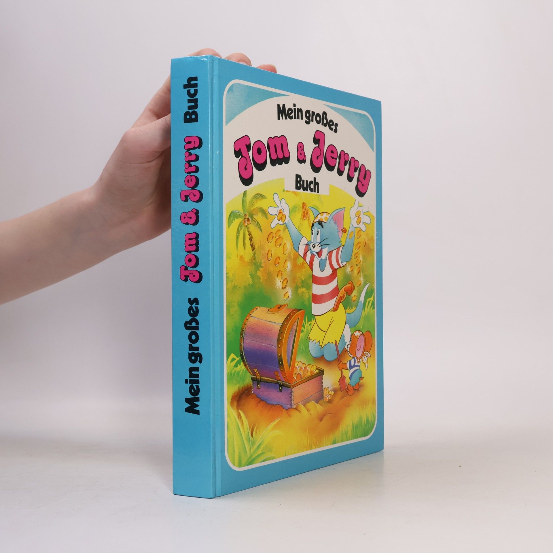 Autorenkollektiv Mein großes Jom & Jerry Buch