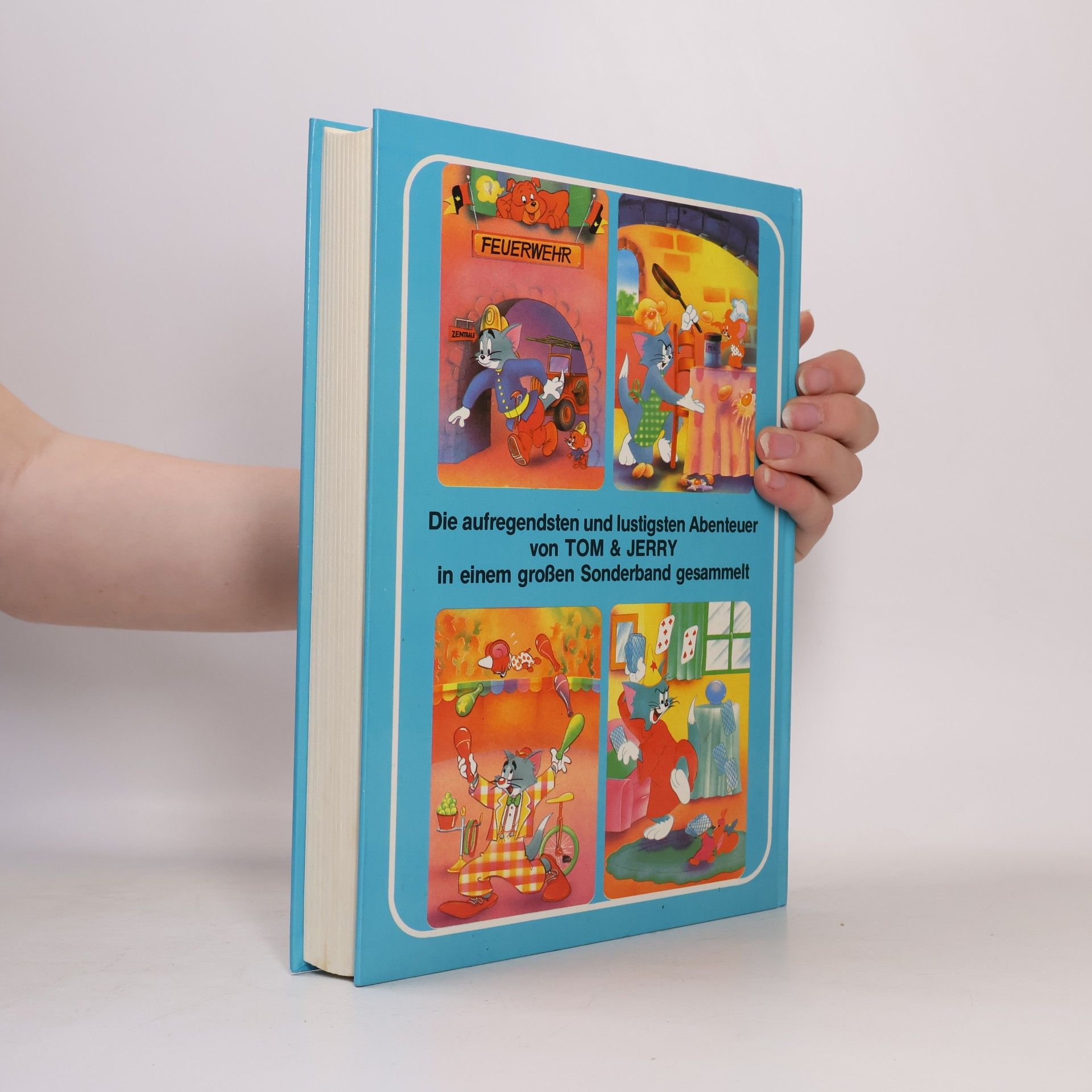 Autorenkollektiv Mein großes Jom & Jerry Buch