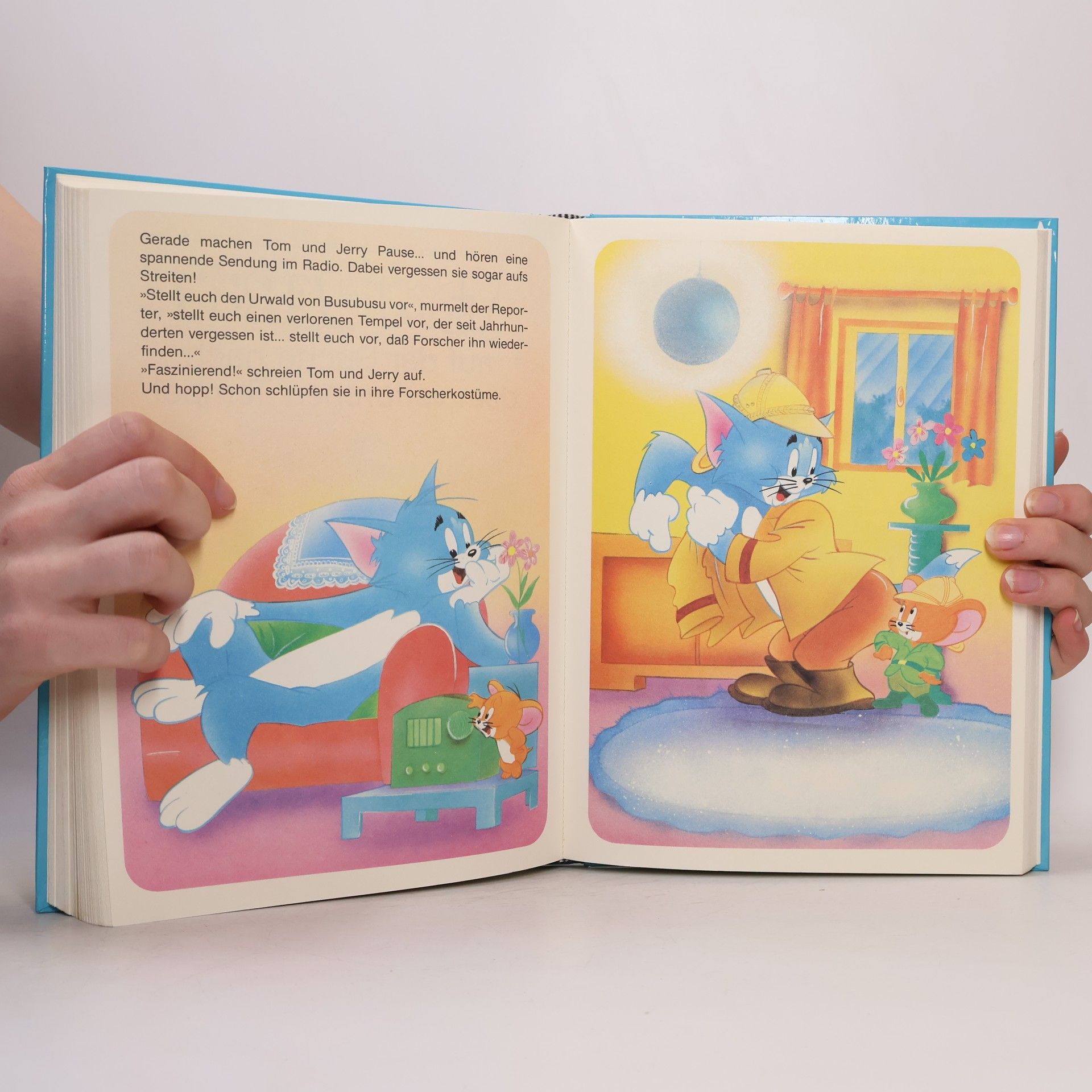 Autorenkollektiv Mein großes Jom & Jerry Buch