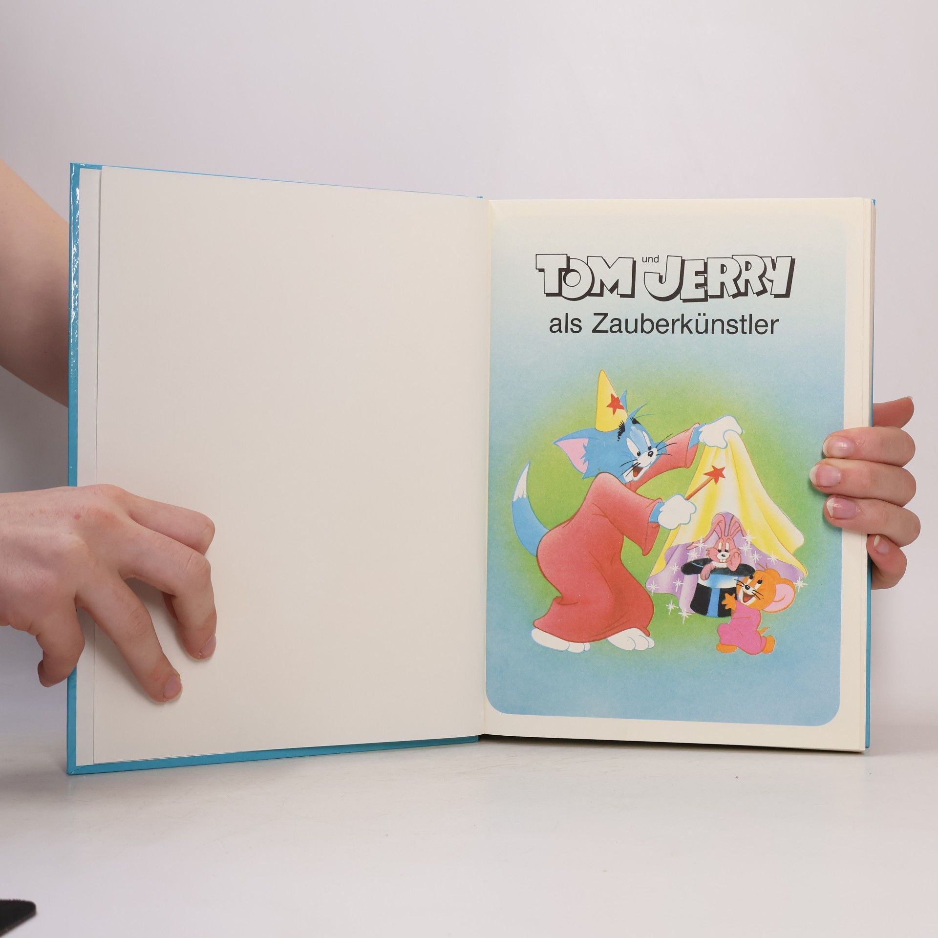 Autorenkollektiv Mein großes Jom & Jerry Buch