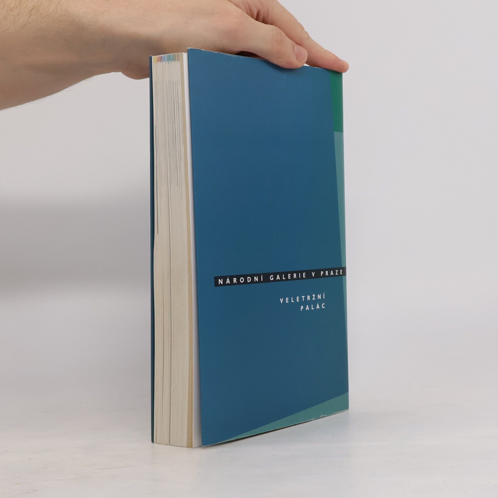 Autorenkollektiv České moderní umění 1900-1960 (katalog stálé expozice)