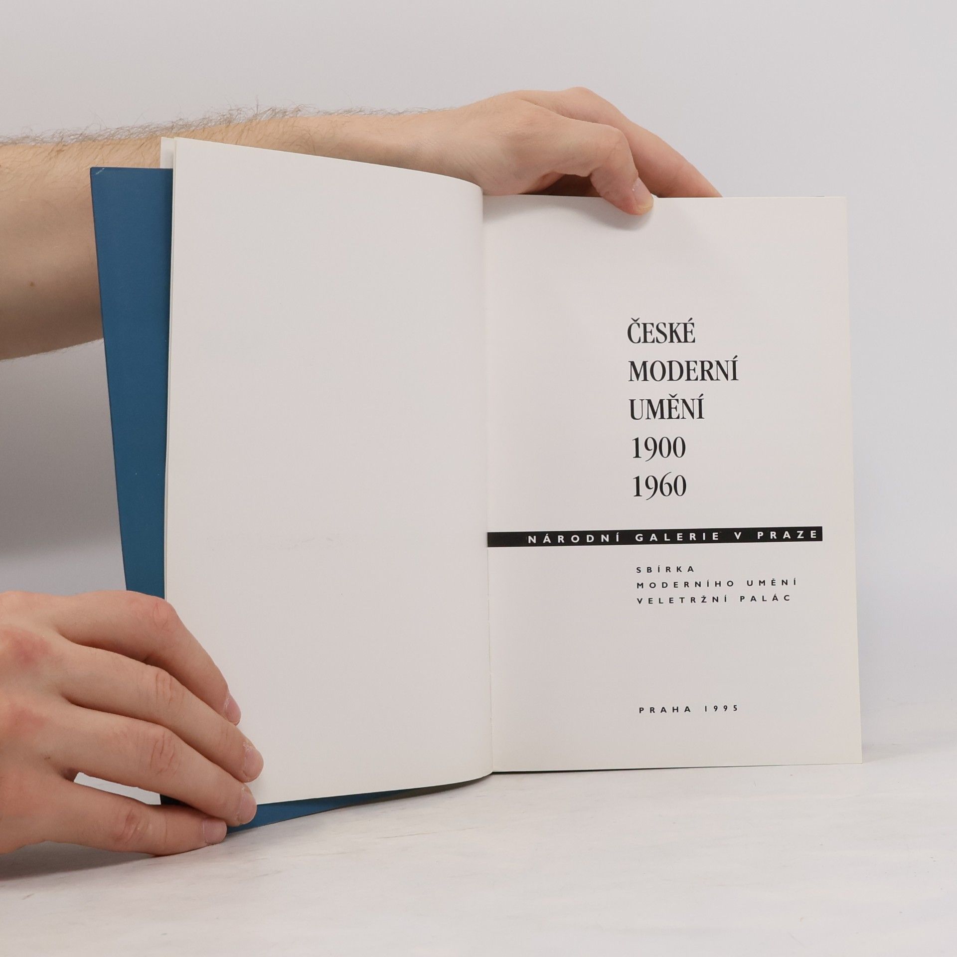 Autorenkollektiv České moderní umění 1900-1960 (katalog stálé expozice)