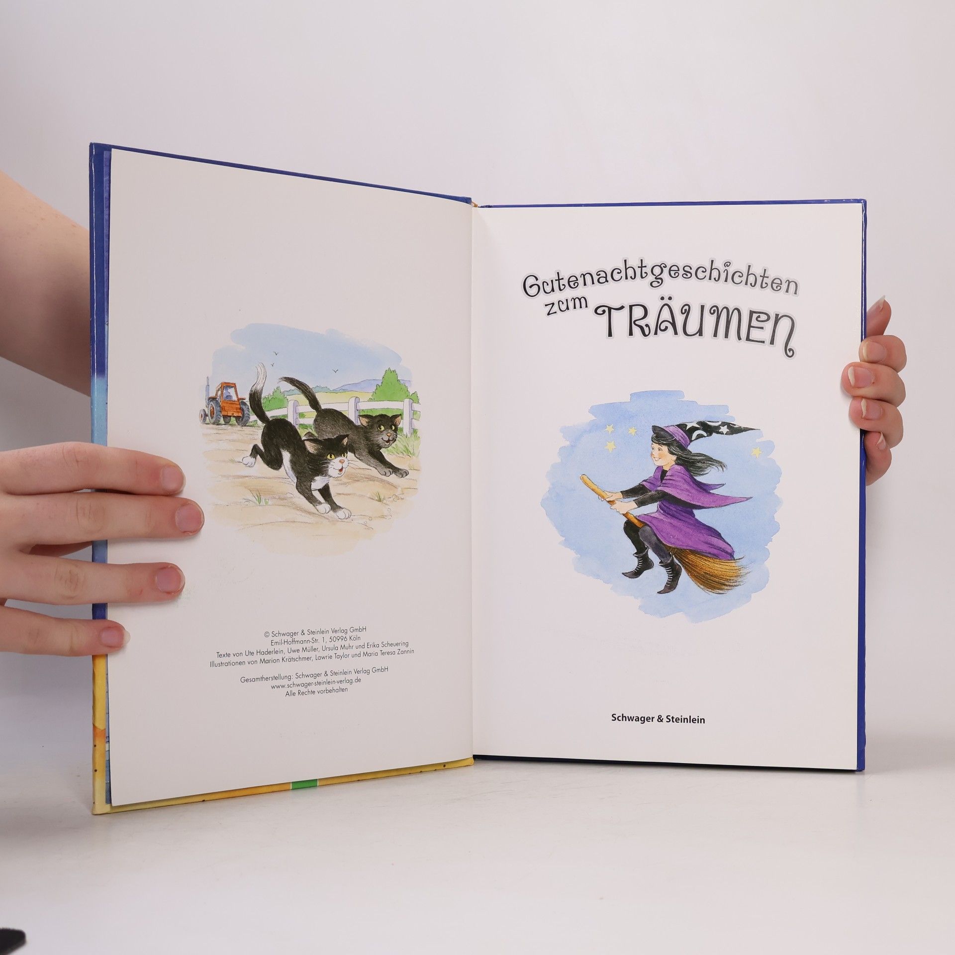 Autorenkollektiv Gutenachtgeschichten zum Träumen