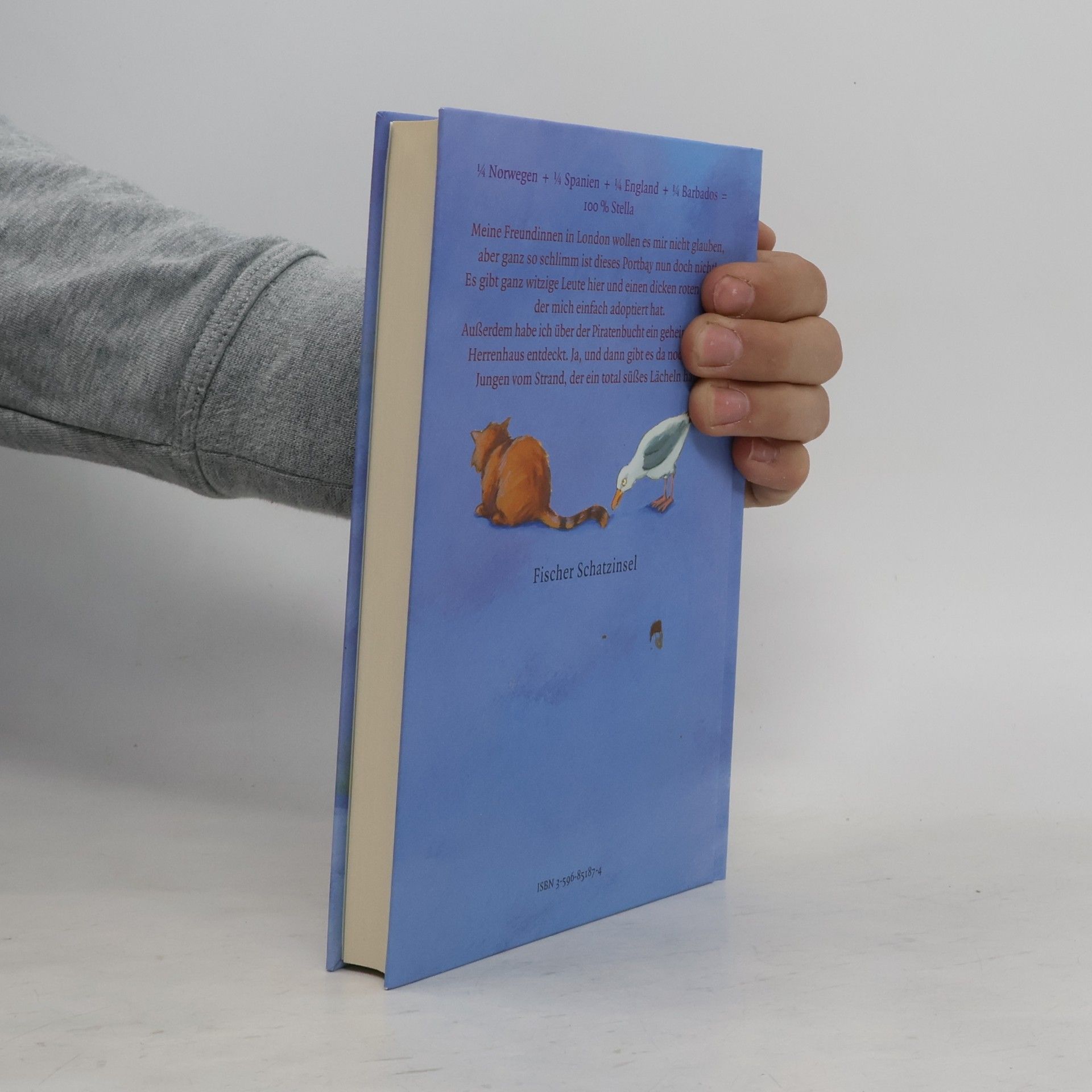 Karen McCombie Stella und der Junge vom Strand
