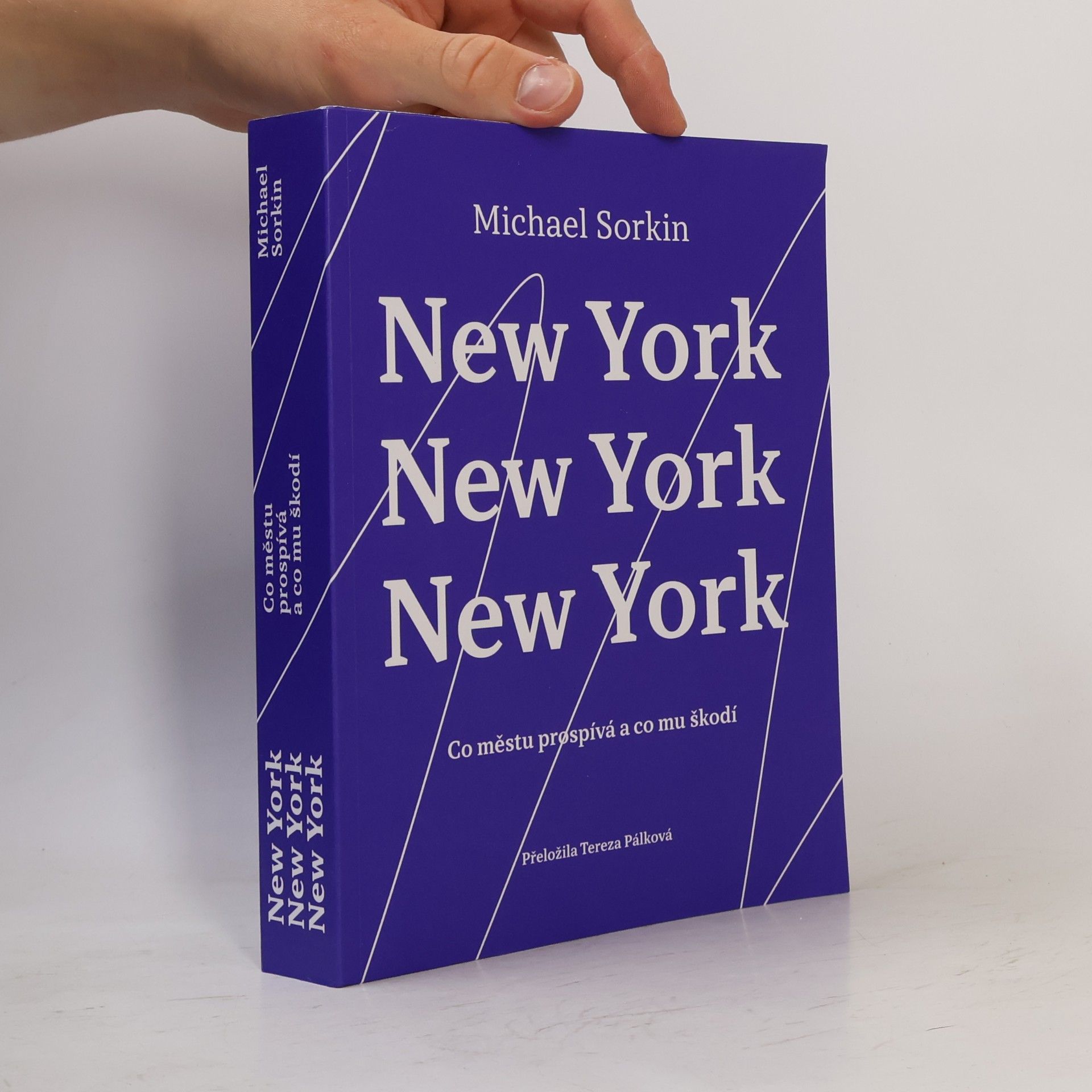 Michael Sorkin New York, New York, New York