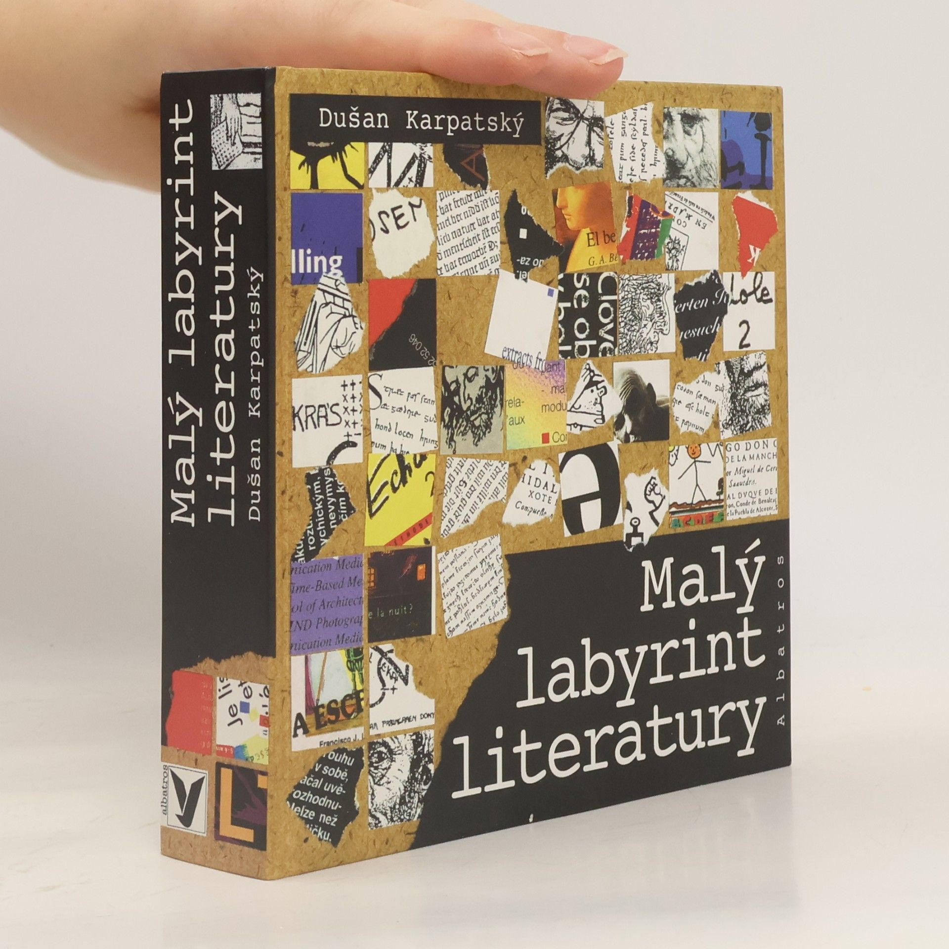 Dušan Karpatský Malý labyrint literatury