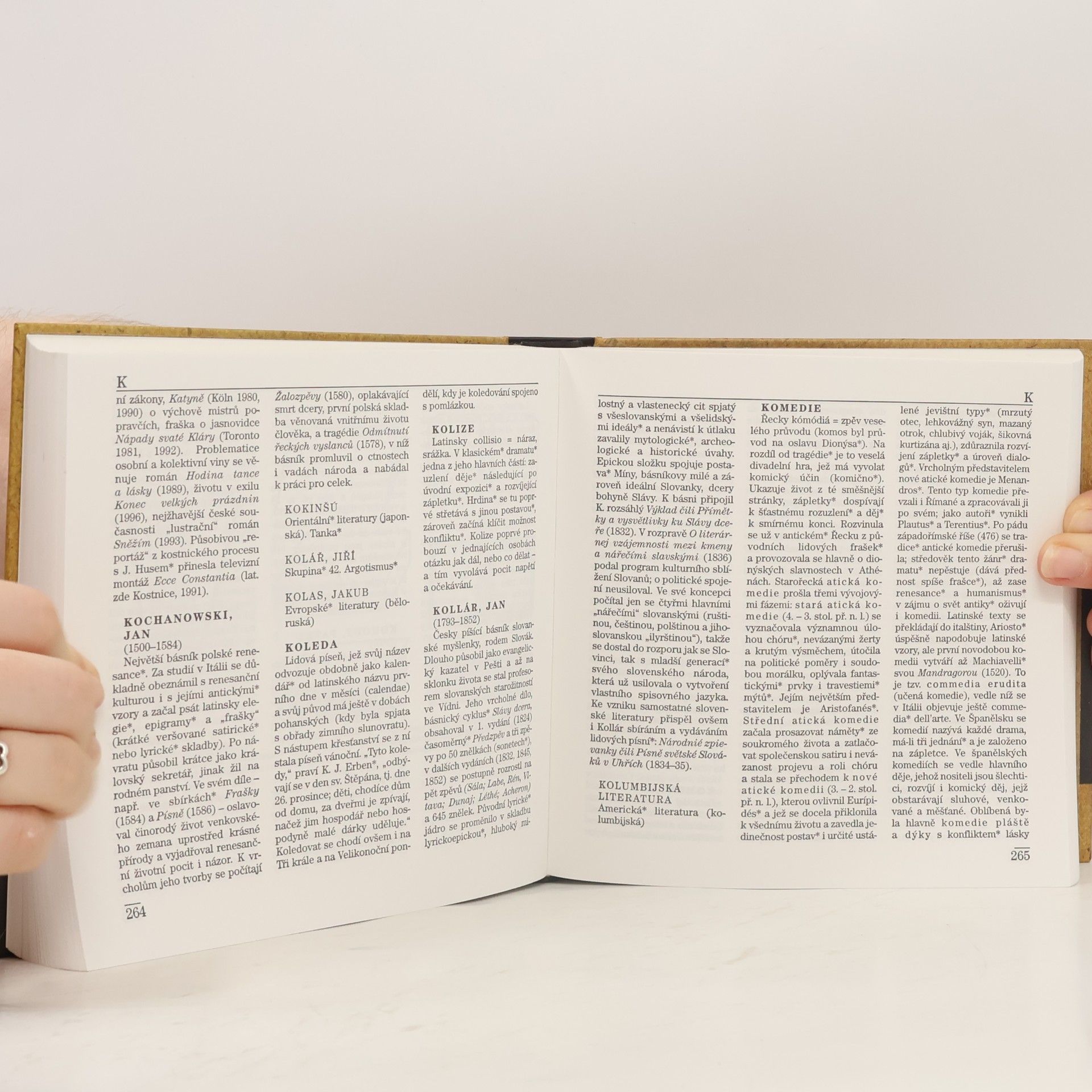Dušan Karpatský Malý labyrint literatury