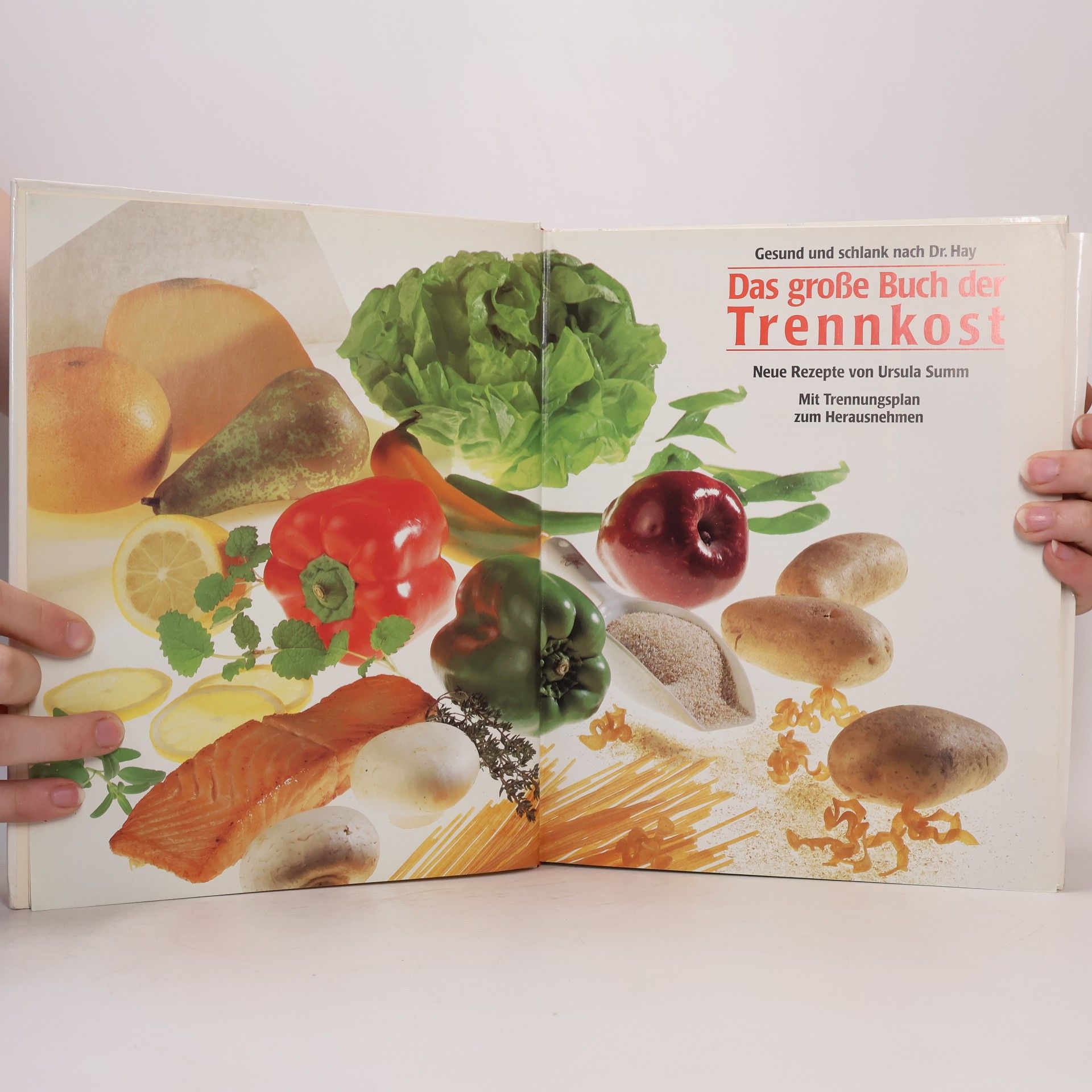 Ursula Summ Das große Buch der Trennkost